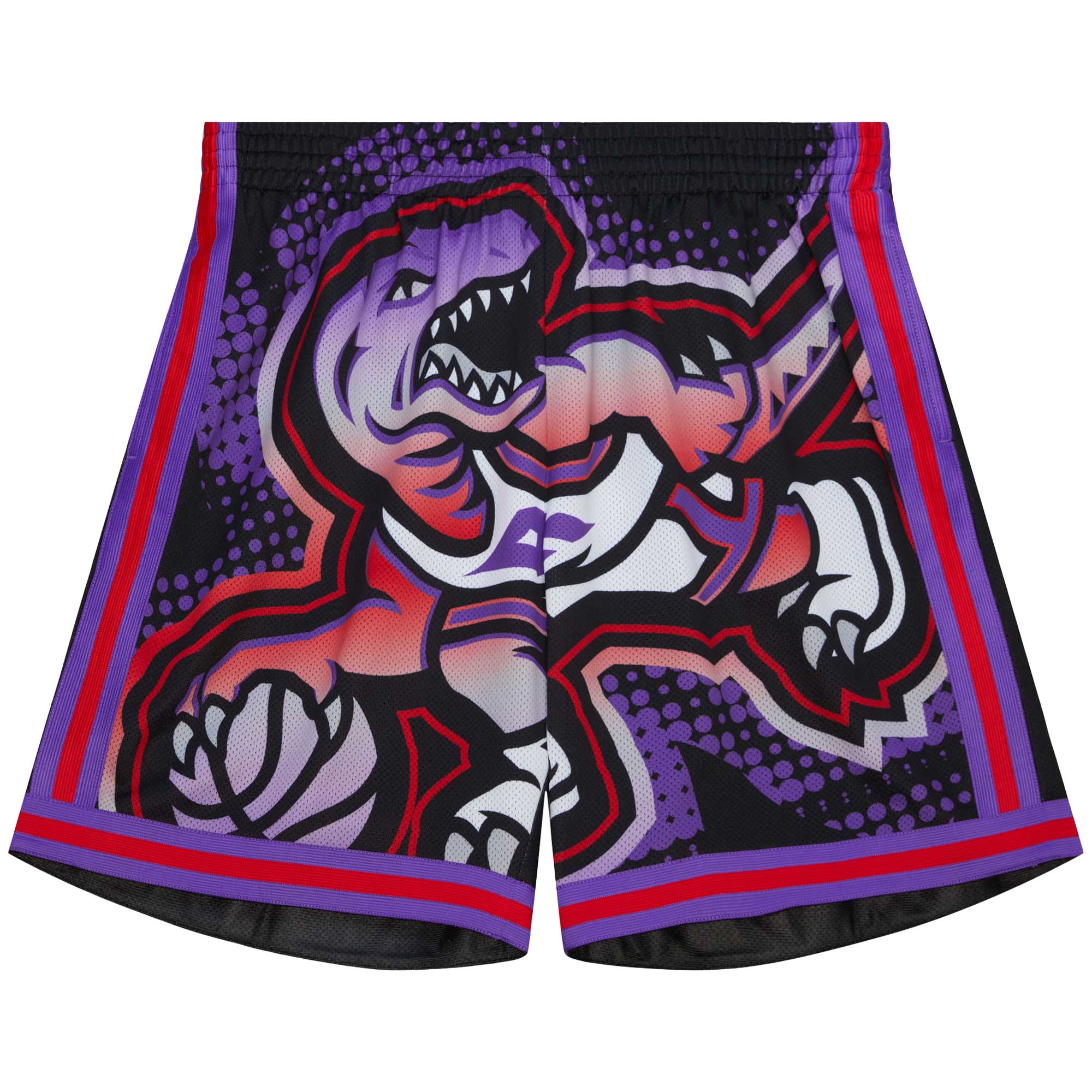 Toronto Raptors NBA Big Face Fashion Short By Mitchell & Ness - Mens, , rebel_hi-res