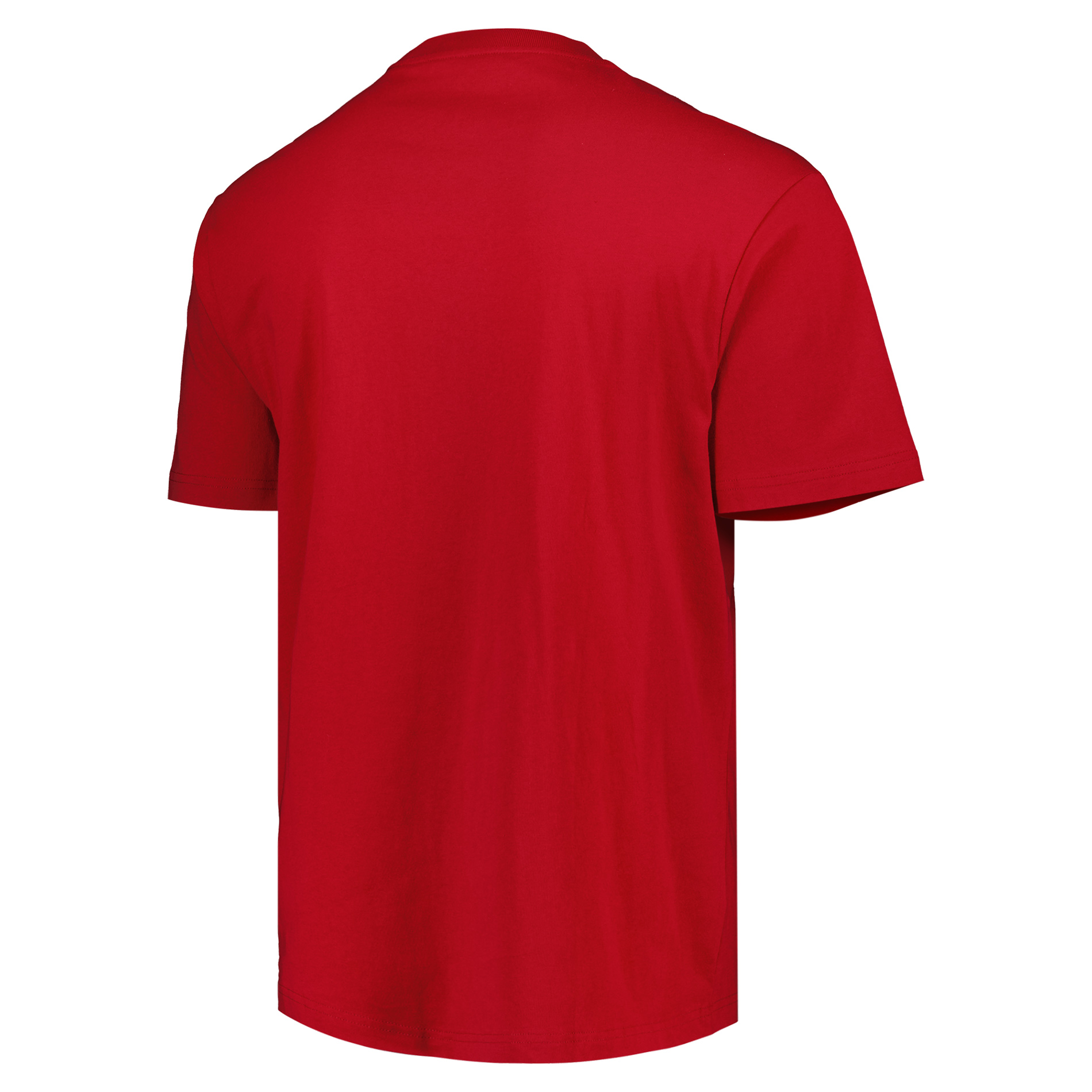 British & Irish Lions x Mitchell & Ness Retro Graphic T-Shirt - Red, , rebel_hi-res