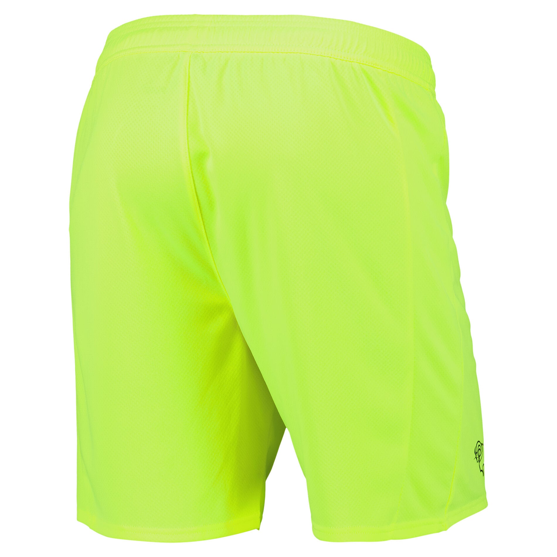 Derby County PUMA Goalkeeper Shorts 2025-26 - Kids, , rebel_hi-res