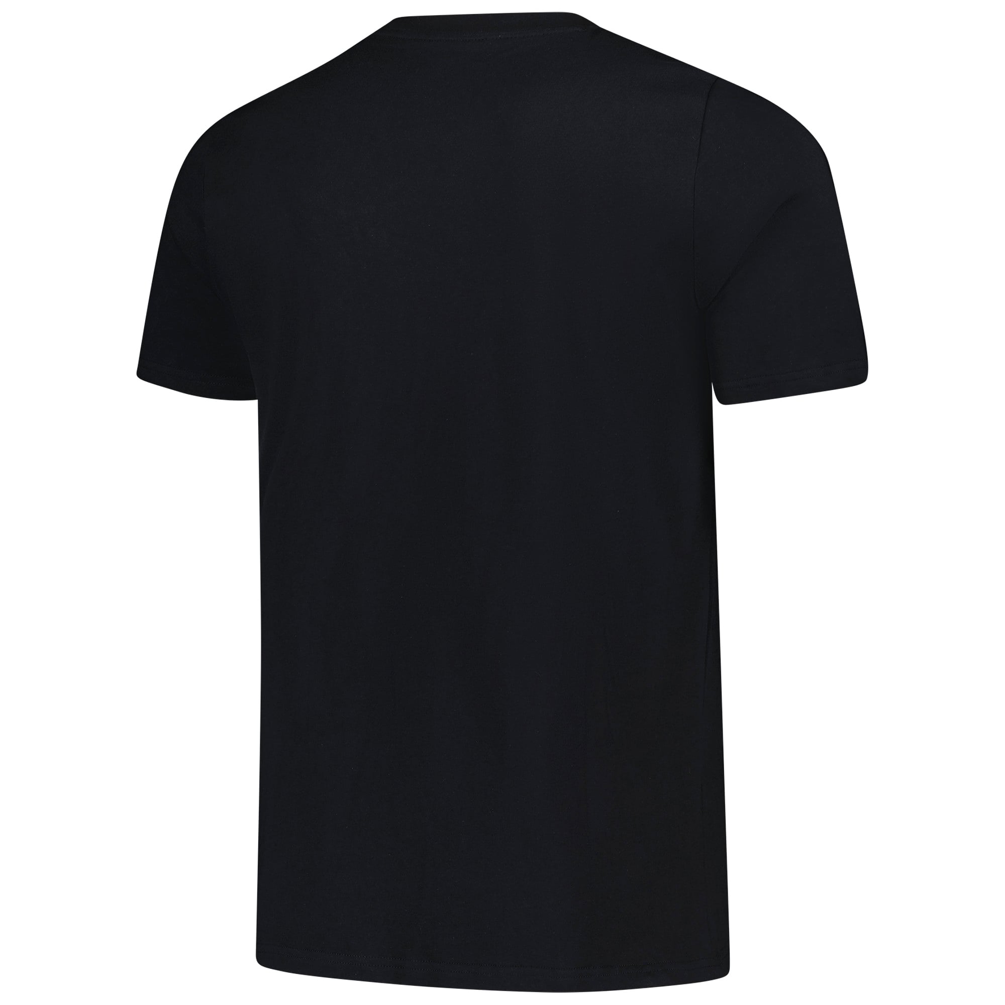 Aston Villa adidas Graphic Logo T-Shirt - Black, , rebel_hi-res
