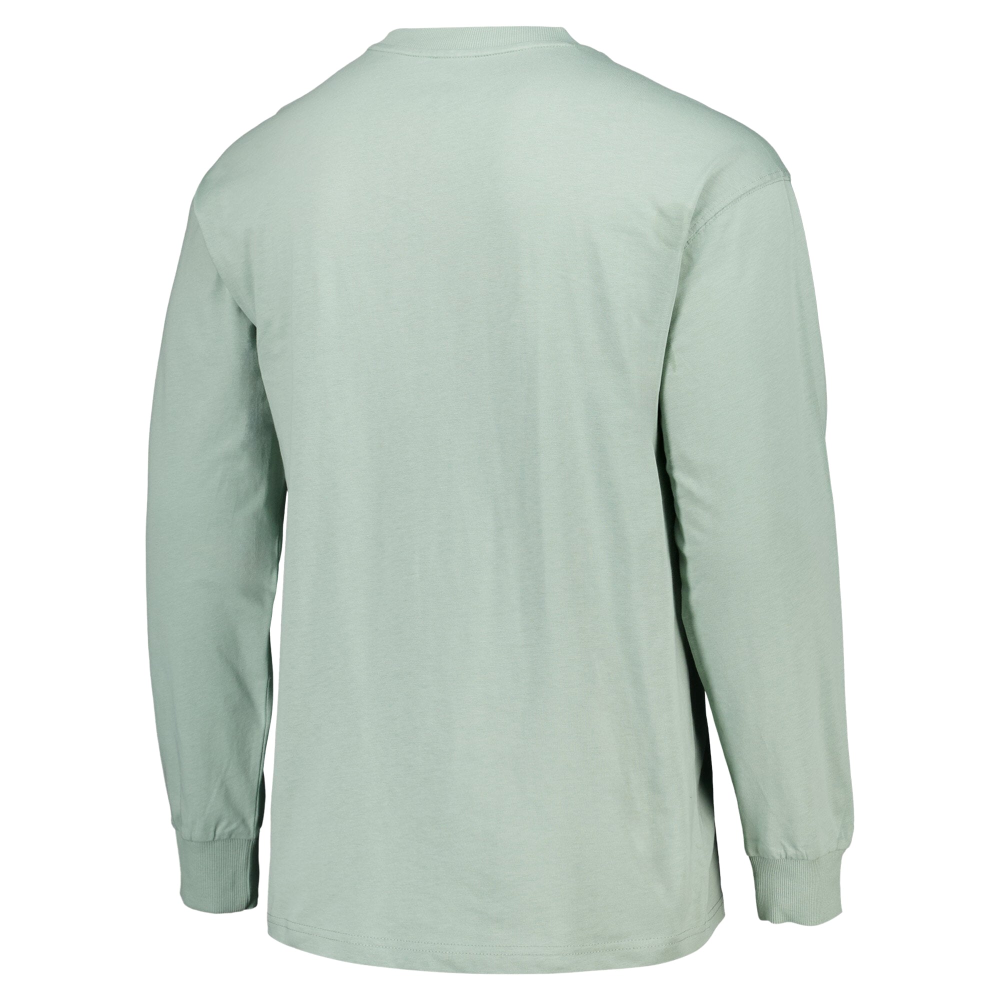 PSG Elements Super Soft Long Sleeve T-Shirt - Sage, , rebel_hi-res