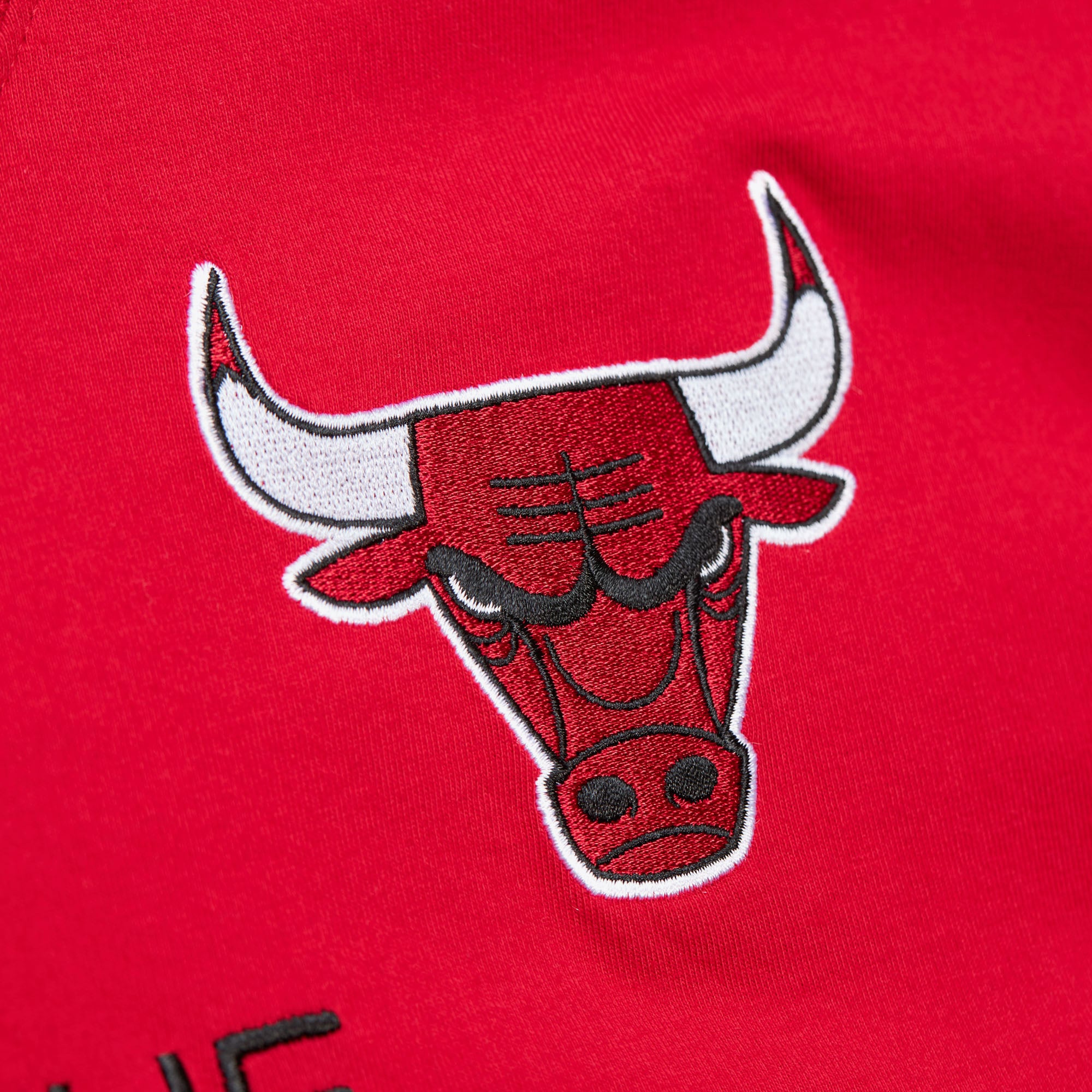 Chicago Bulls Mitchell & Ness Premium Nickname T-Shirt Dennis Rodman The Worm, , rebel_hi-res