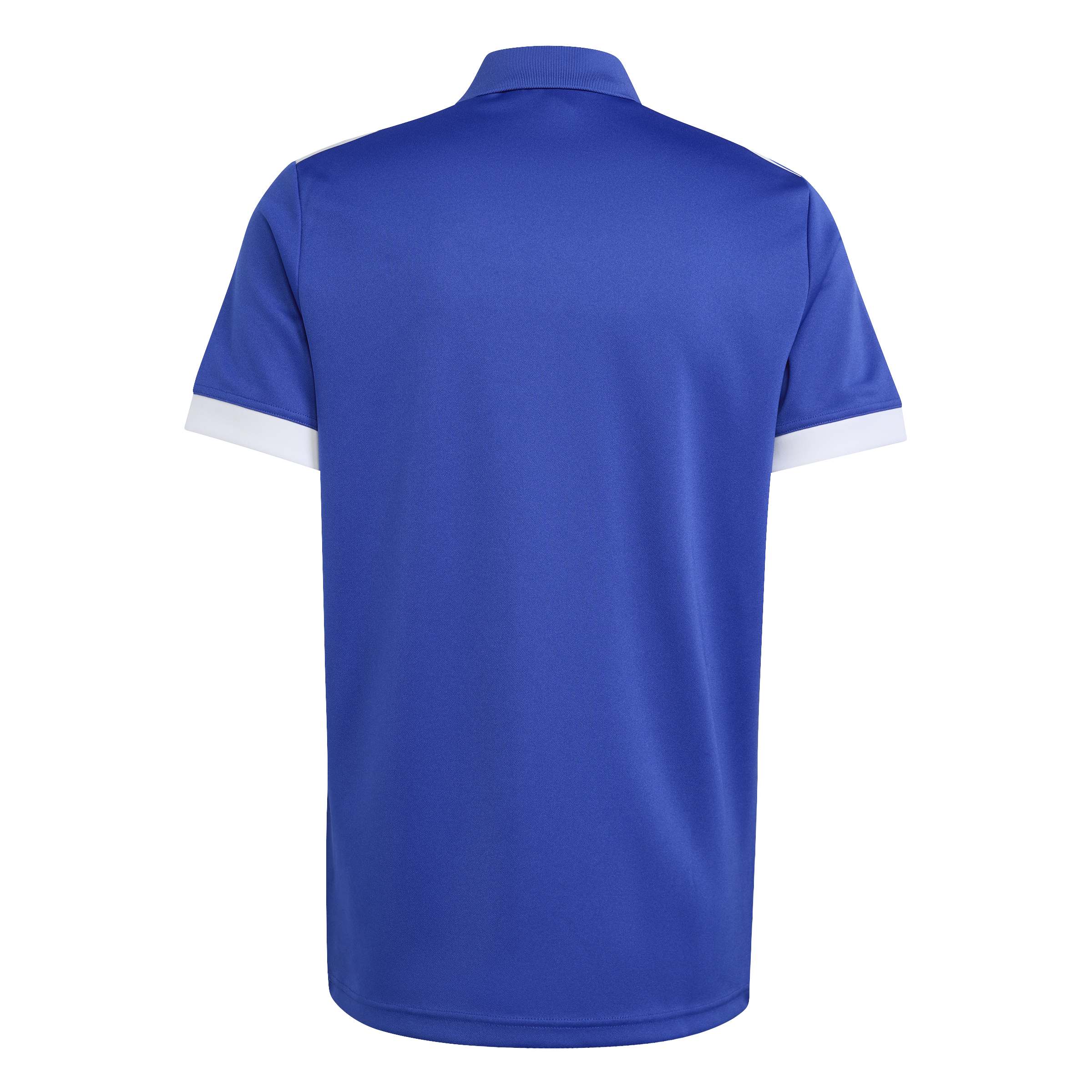 France Rugby Supporters Polo, , rebel_hi-res