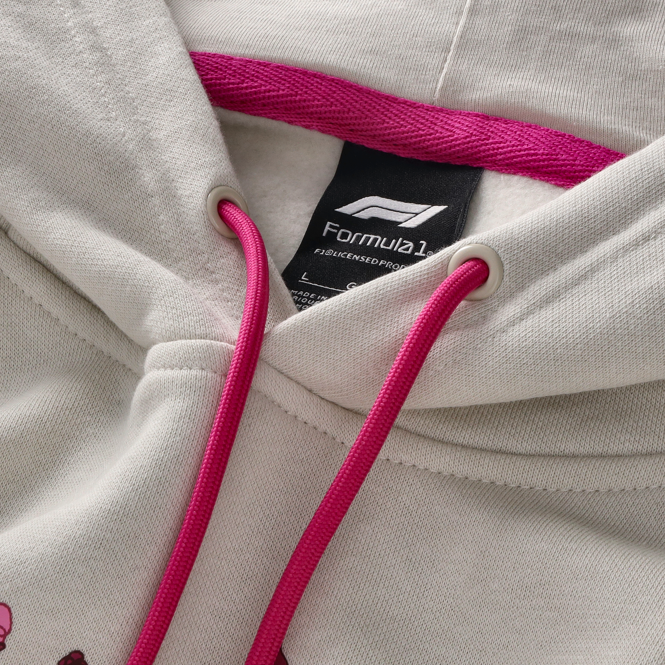 Formula 1 Japan Graphic Oversized Hoodie - Silver - Unisex, , rebel_hi-res
