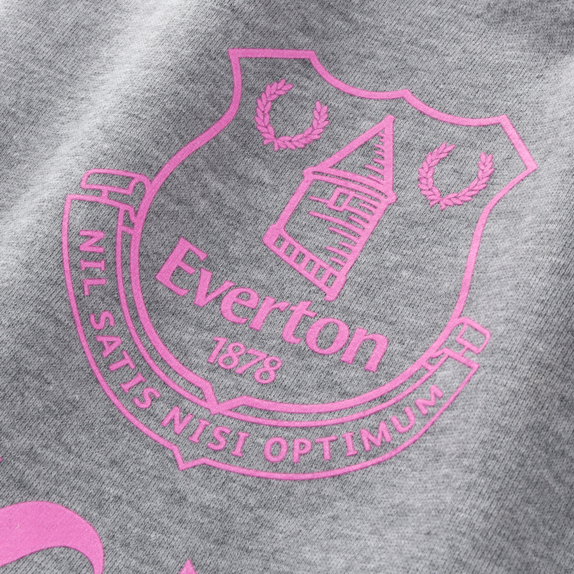 Everton x ASSC Toffees Sweatpants - Grey Heather, , rebel_hi-res