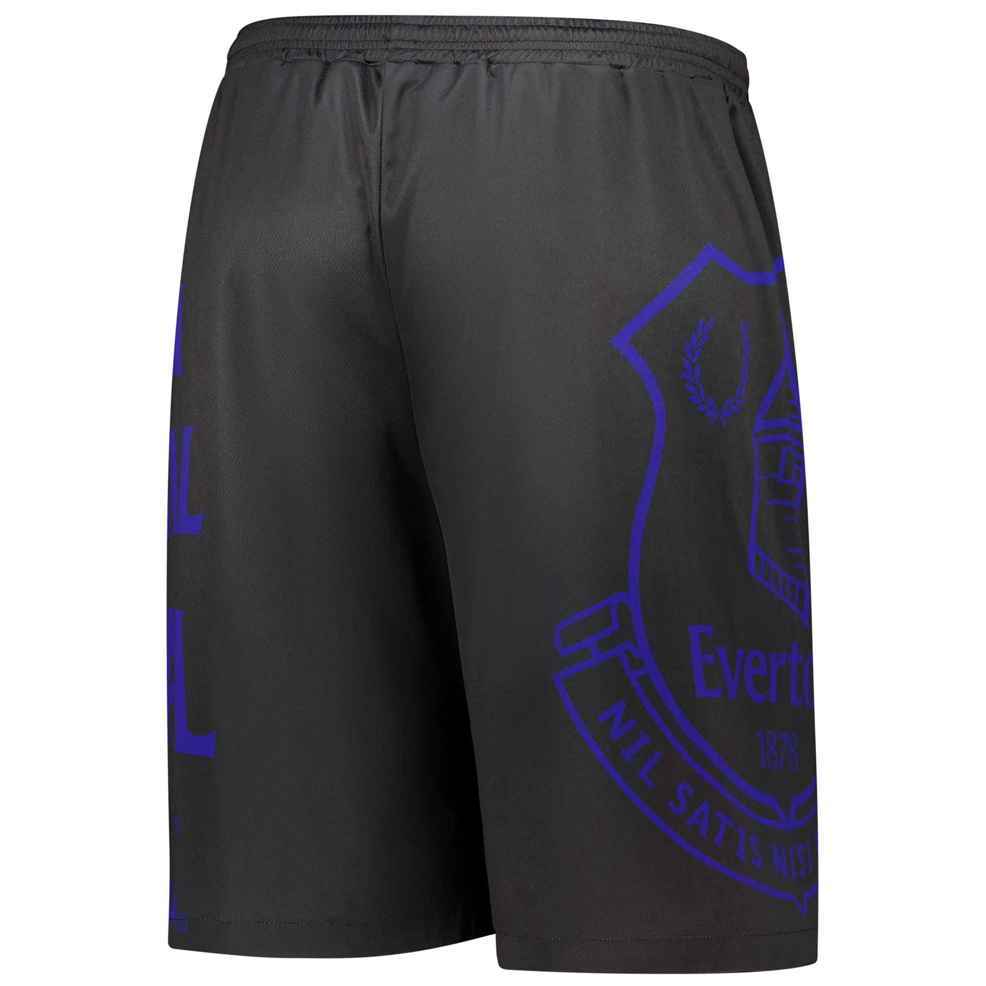 Everton x ASSC Premier Mesh Short - Black, , rebel_hi-res