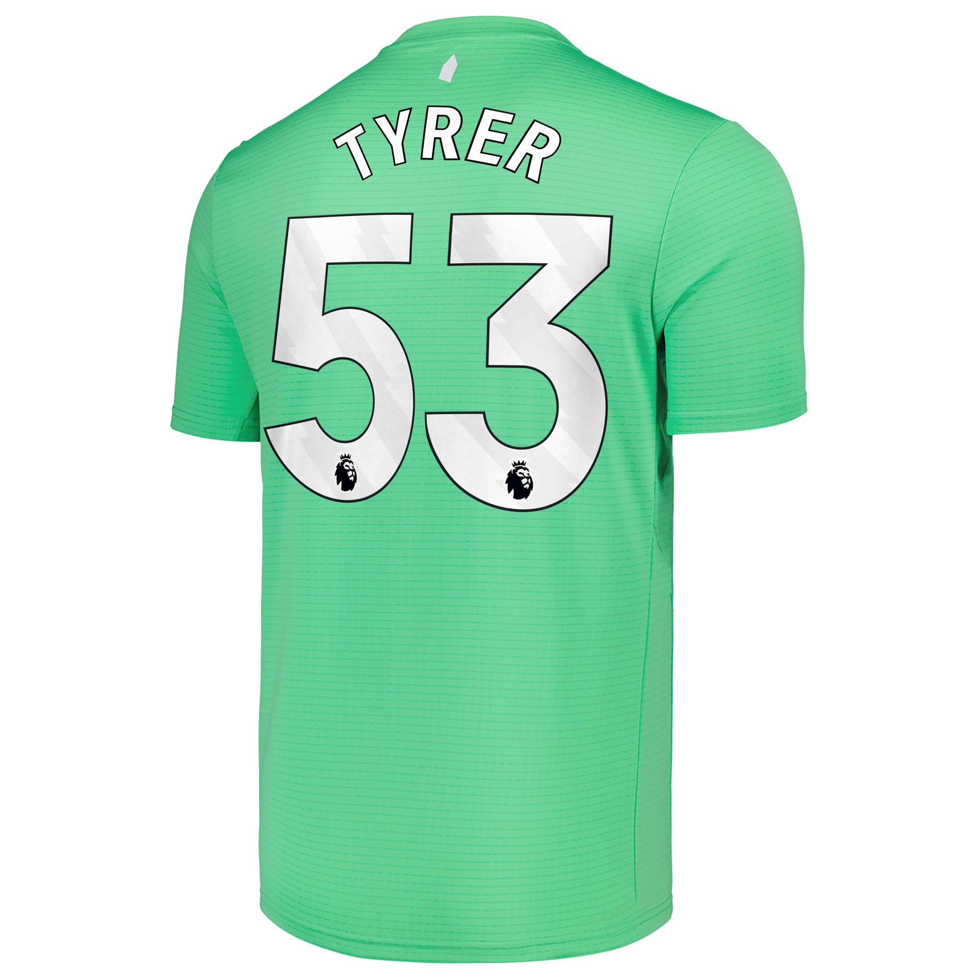 Everton Castore Home Goalkeeper Shirt 2025-26 with Tyrer 53  printing, , rebel_hi-res