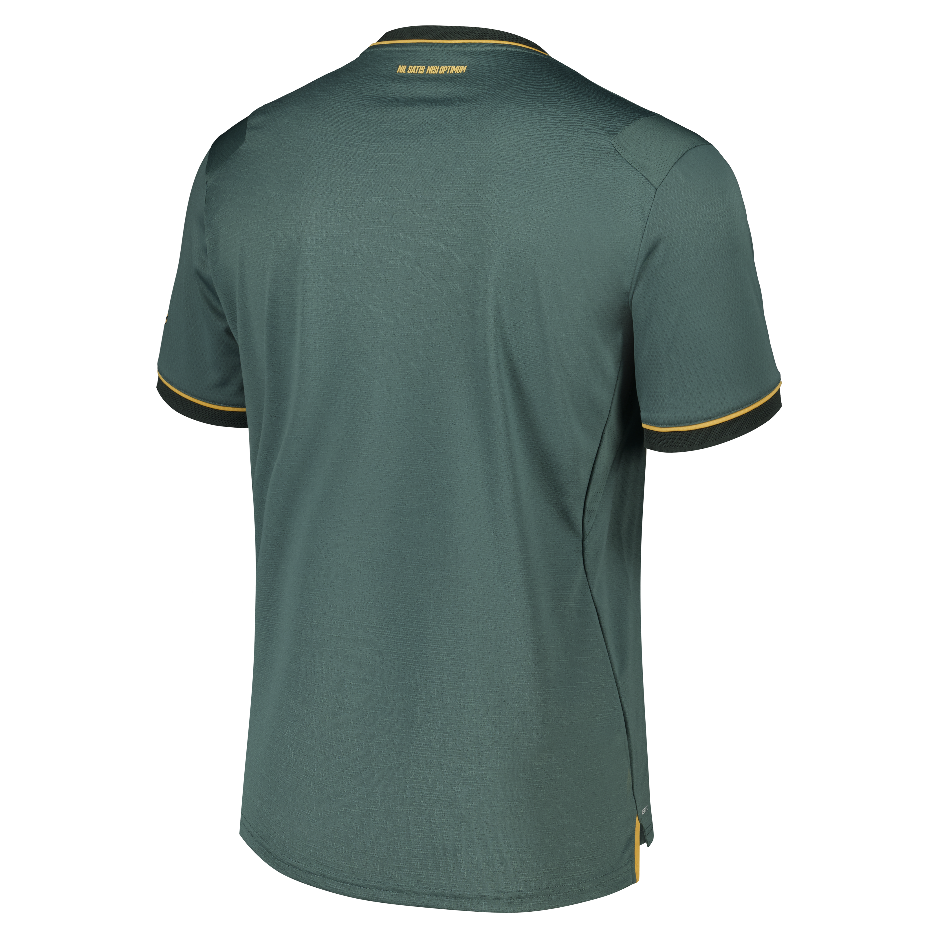 Everton Castore Third Pro Shirt 2026-27, , rebel_hi-res