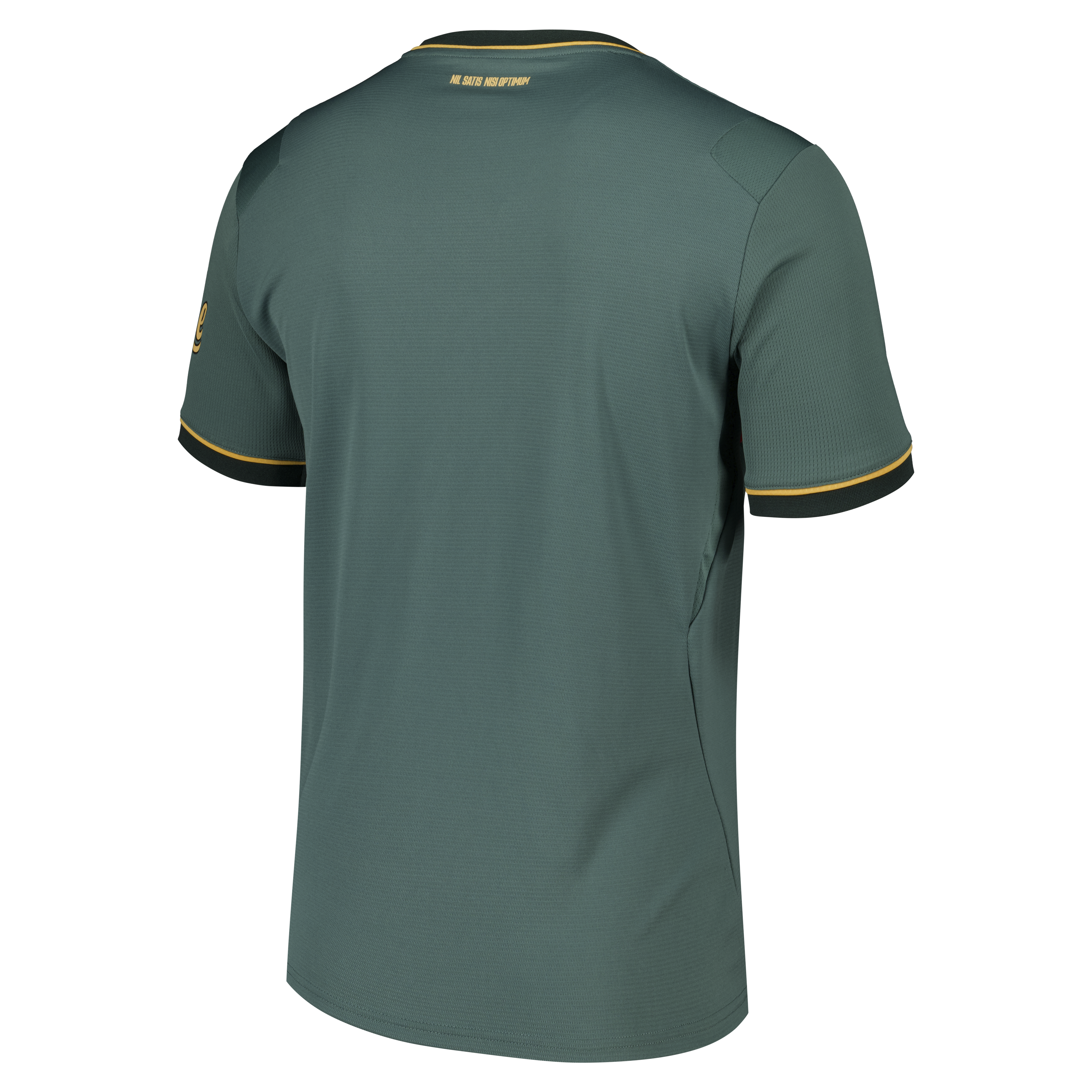 Everton Castore Third Replica Shirt 2026-27, , rebel_hi-res