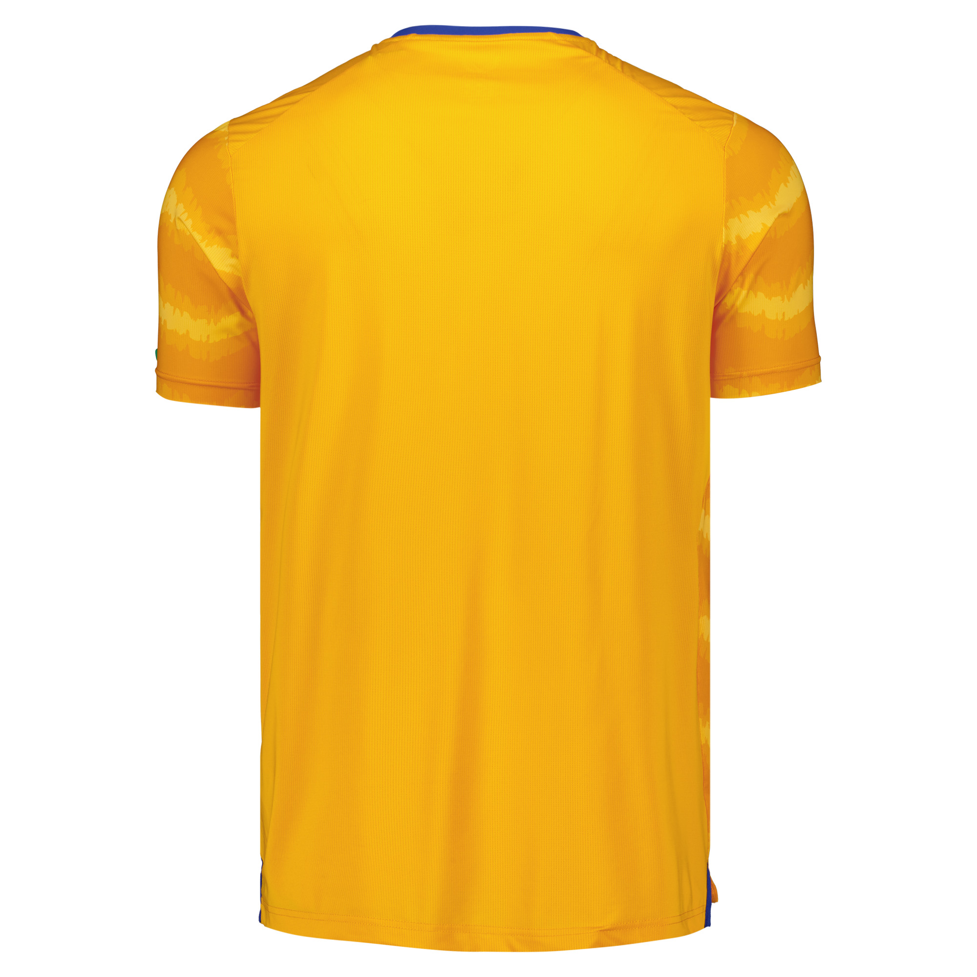 Everton Castore Matchday Top - Yellow, , rebel_hi-res