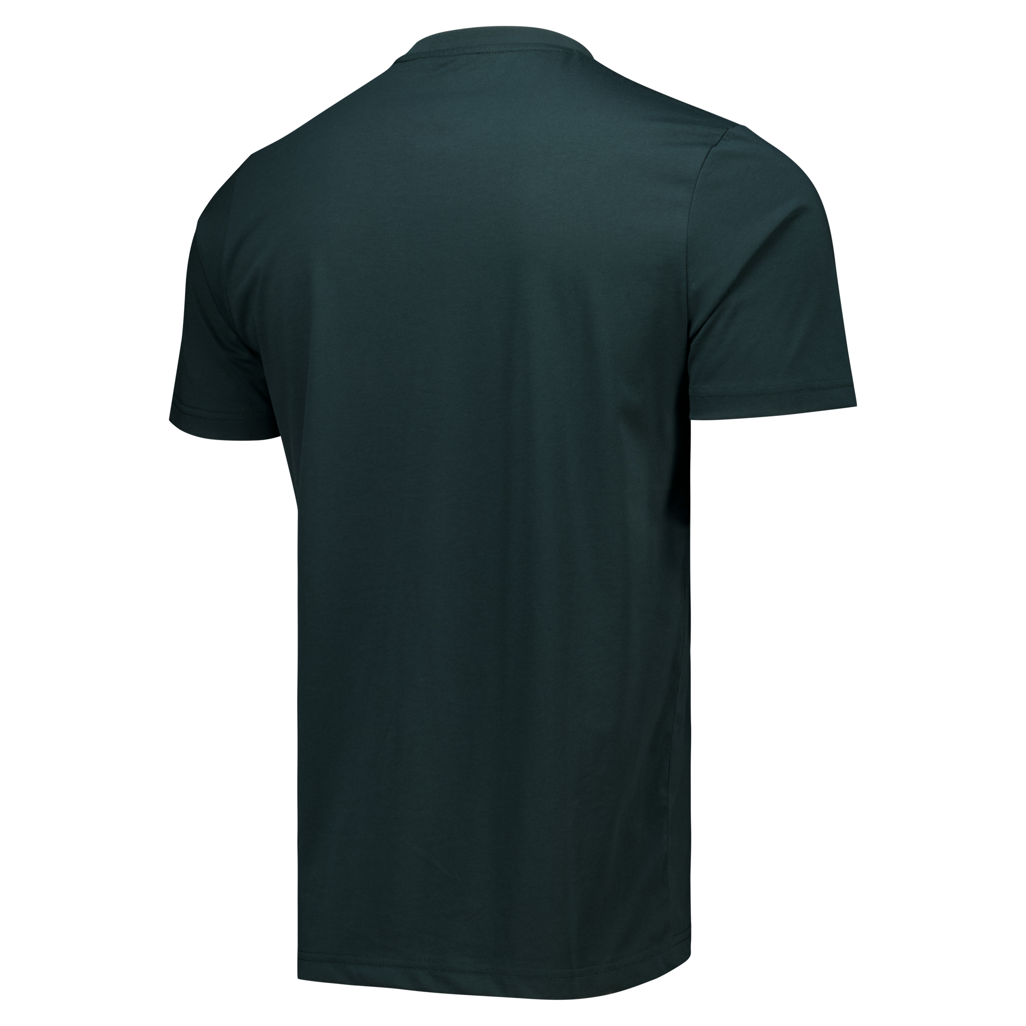 Everton Castore Players Off Pitch T-Shirt - Dark Green, , rebel_hi-res