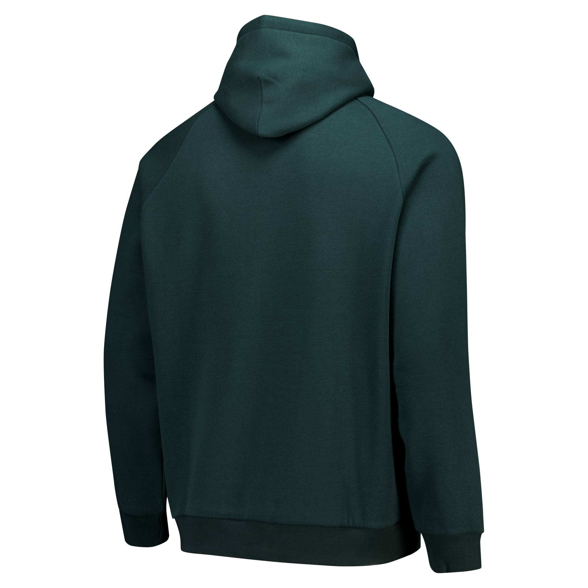 Everton Castore Players Off Pitch Hoodie - Dark Green, , rebel_hi-res