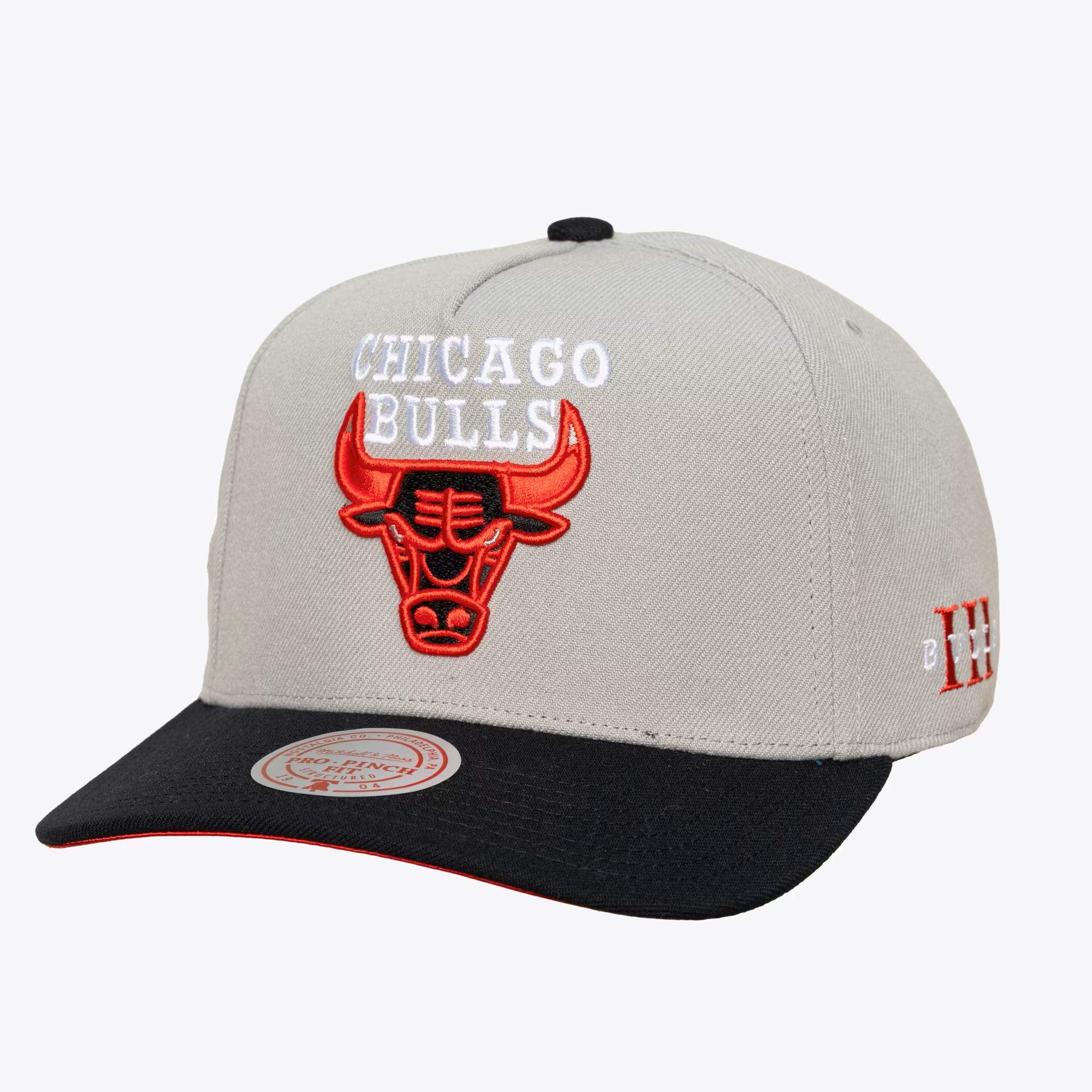 Chicago Bulls M&N Xi Sneaker Hook-Up Pro Snapback, , rebel_hi-res
