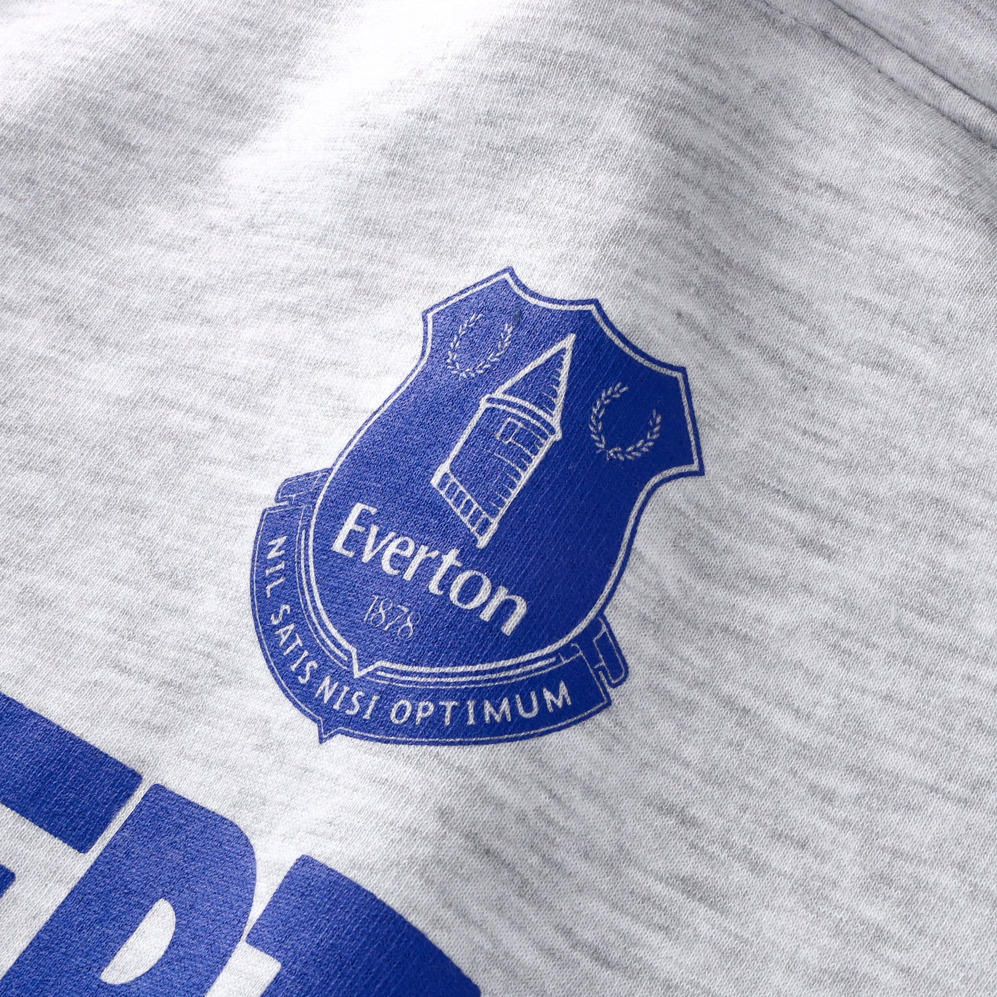 Everton x Mitchell & Ness Stadium Hoodie - Grey Marl - Mens, , rebel_hi-res