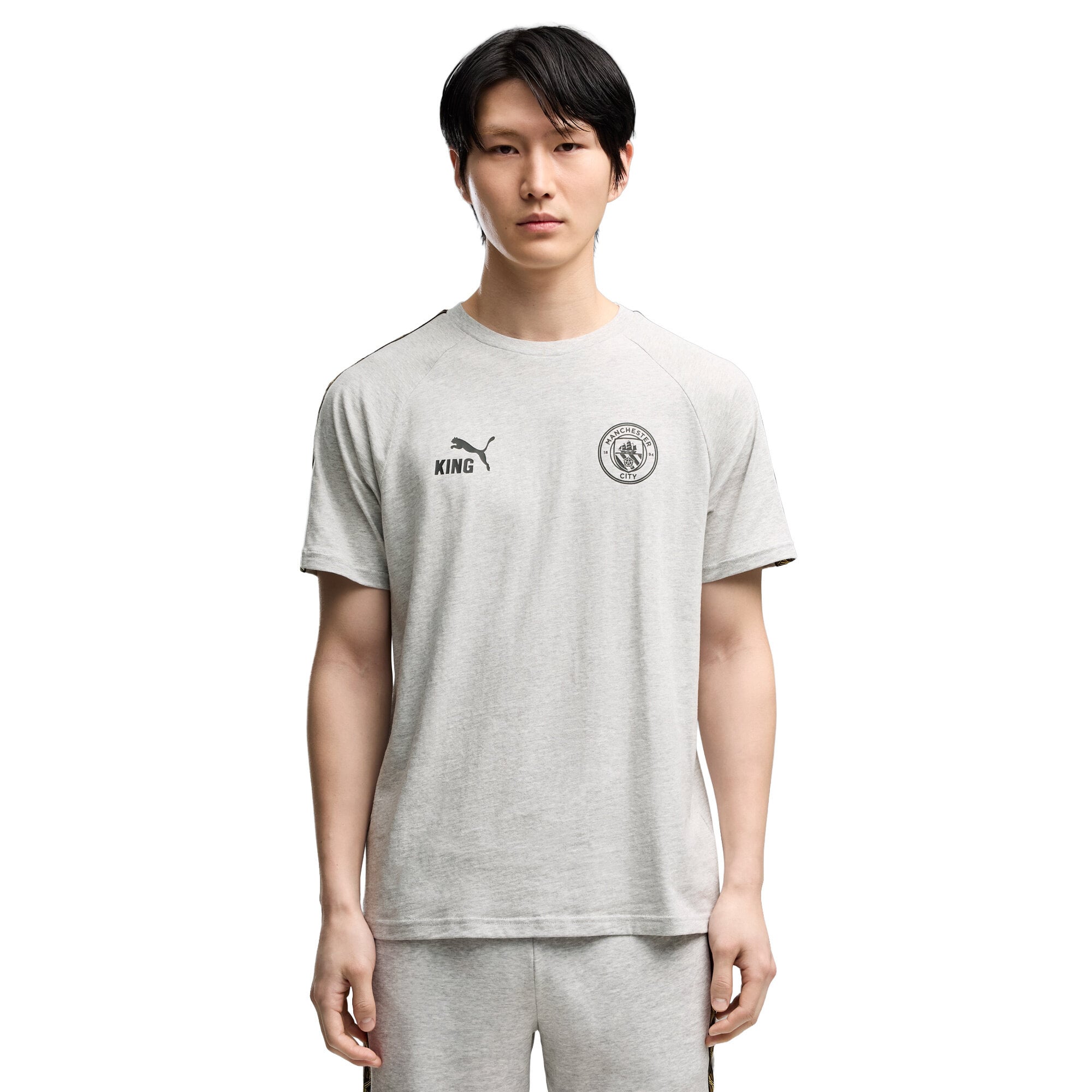 Manchester City Puma KING T-Shirt - Grey, , rebel_hi-res