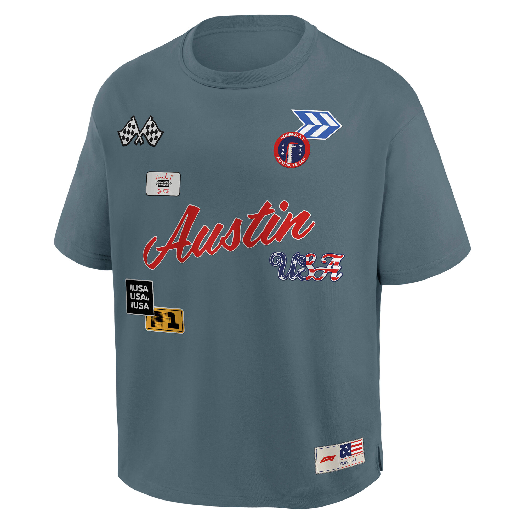 Formula 1 USA Grand Prix Elements Oversized T-Shirt, , rebel_hi-res