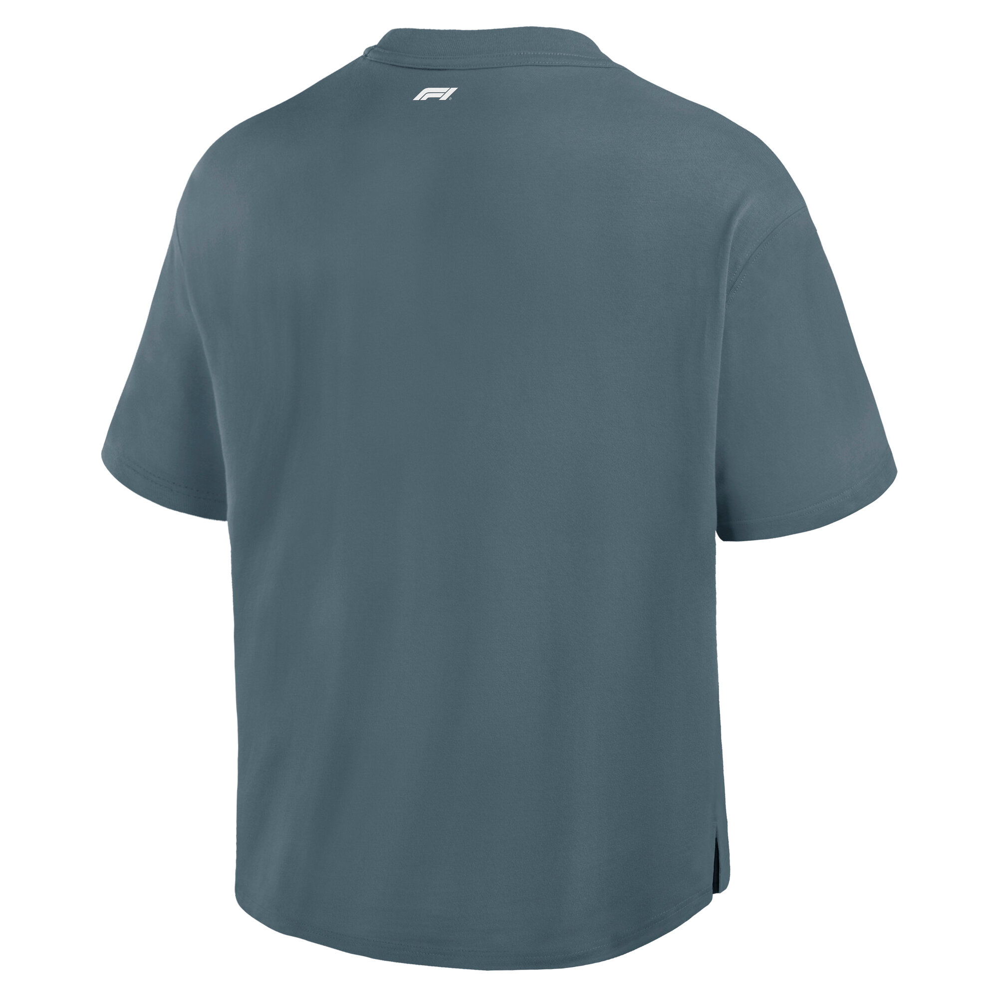 Formula 1 USA Grand Prix Elements Oversized T-Shirt, , rebel_hi-res