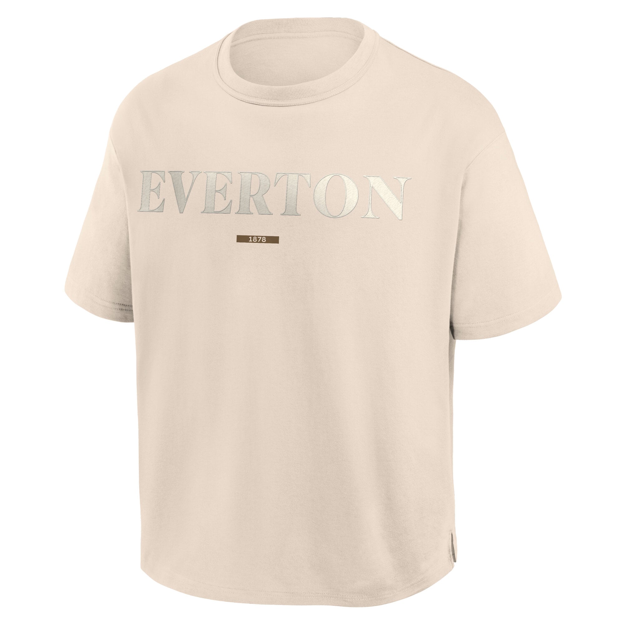 Everton Heavyweight T-Shirt - Whitecap Grey - Mens, , rebel_hi-res