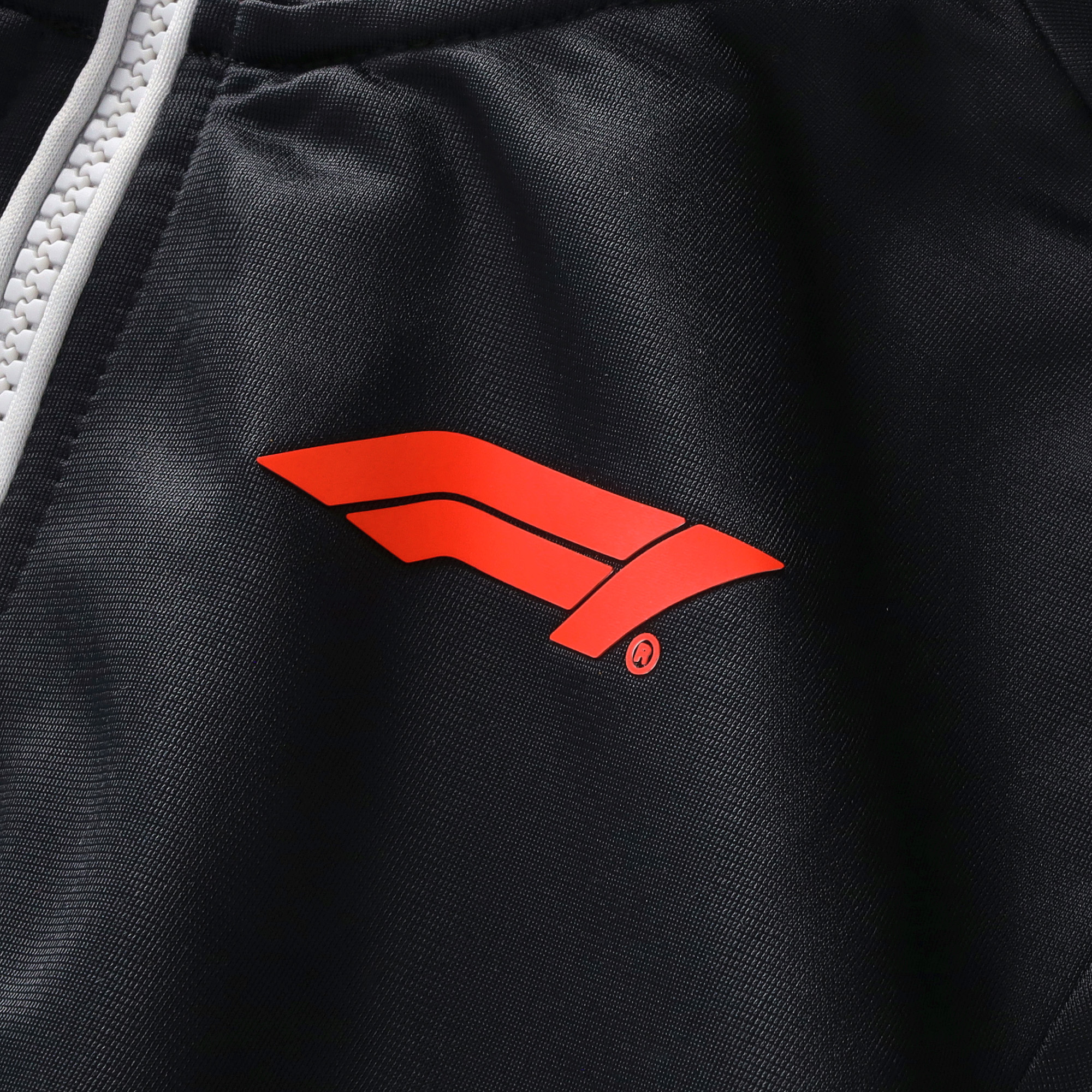 Formula 1 Motion Full Zip Hoodie - Black/Silver - Kids, , rebel_hi-res