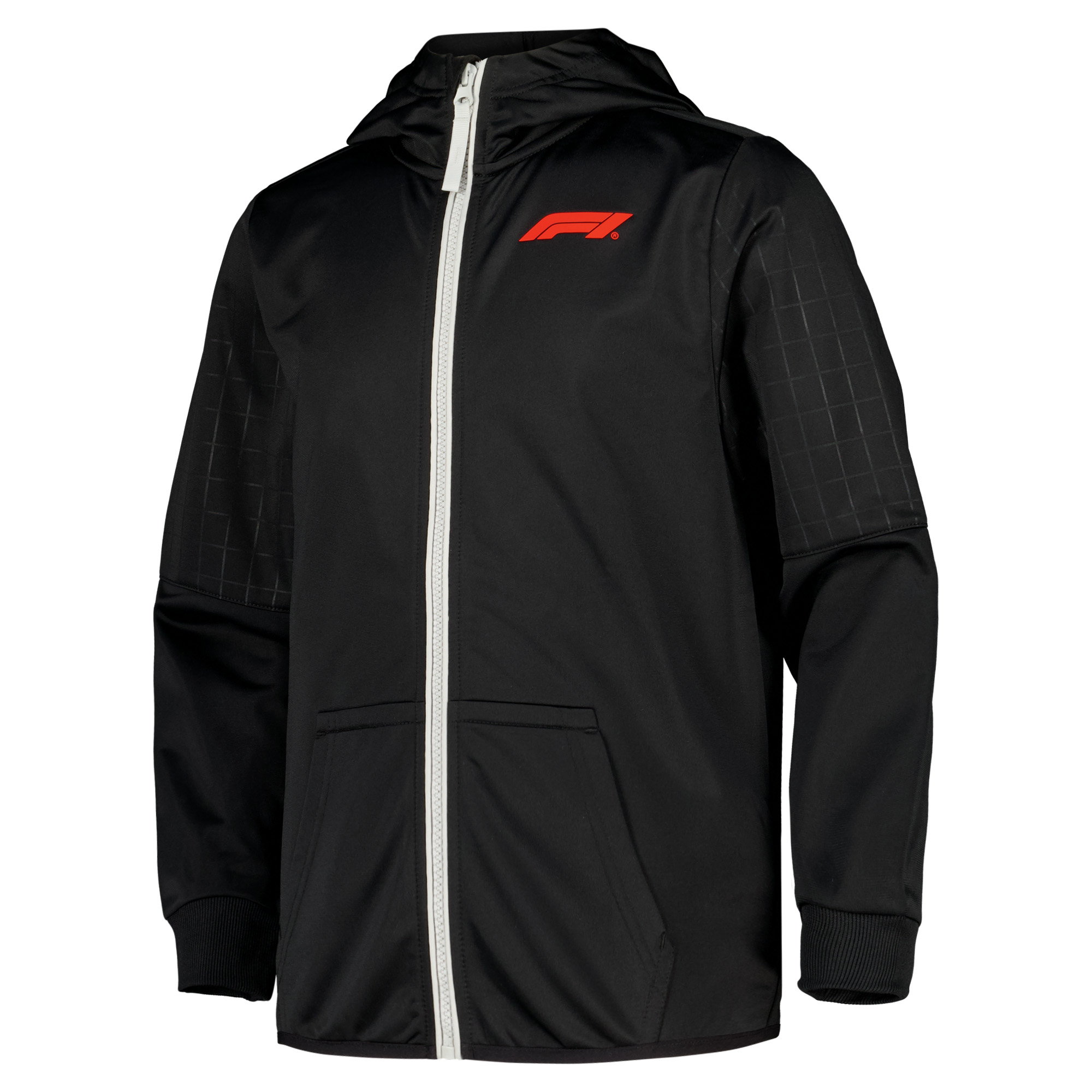 Formula 1 Motion Full Zip Hoodie - Black/Silver - Kids, , rebel_hi-res