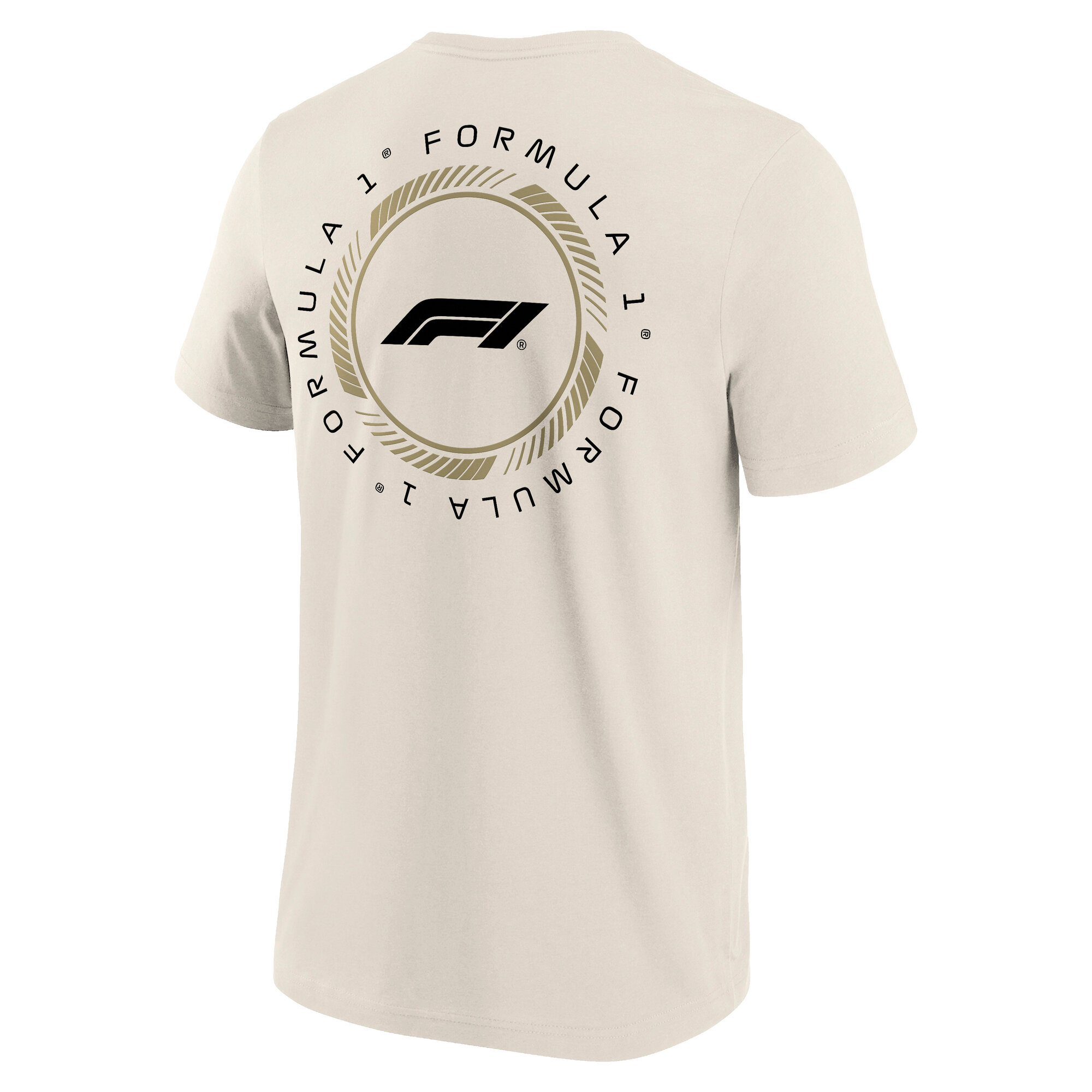 Formula 1 Loop Graphic T-Shirt - Off White - Mens, , rebel_hi-res