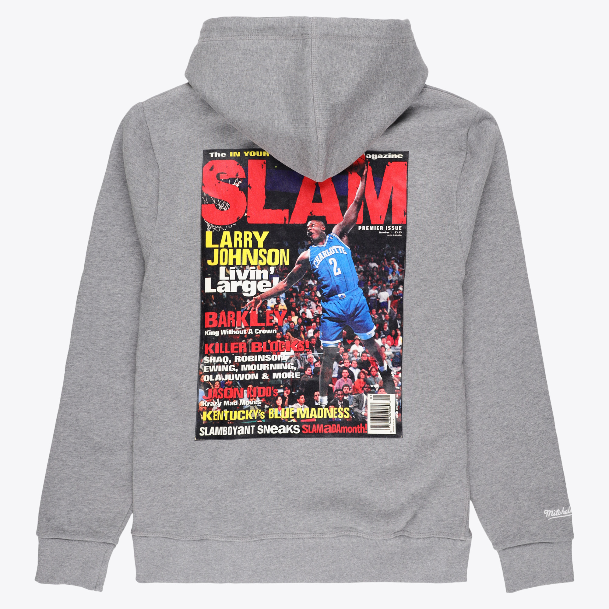 Charlotte Hornets Mitchell & Ness Larry Johnson Slam Hoodie - Grey - Mens, , rebel_hi-res