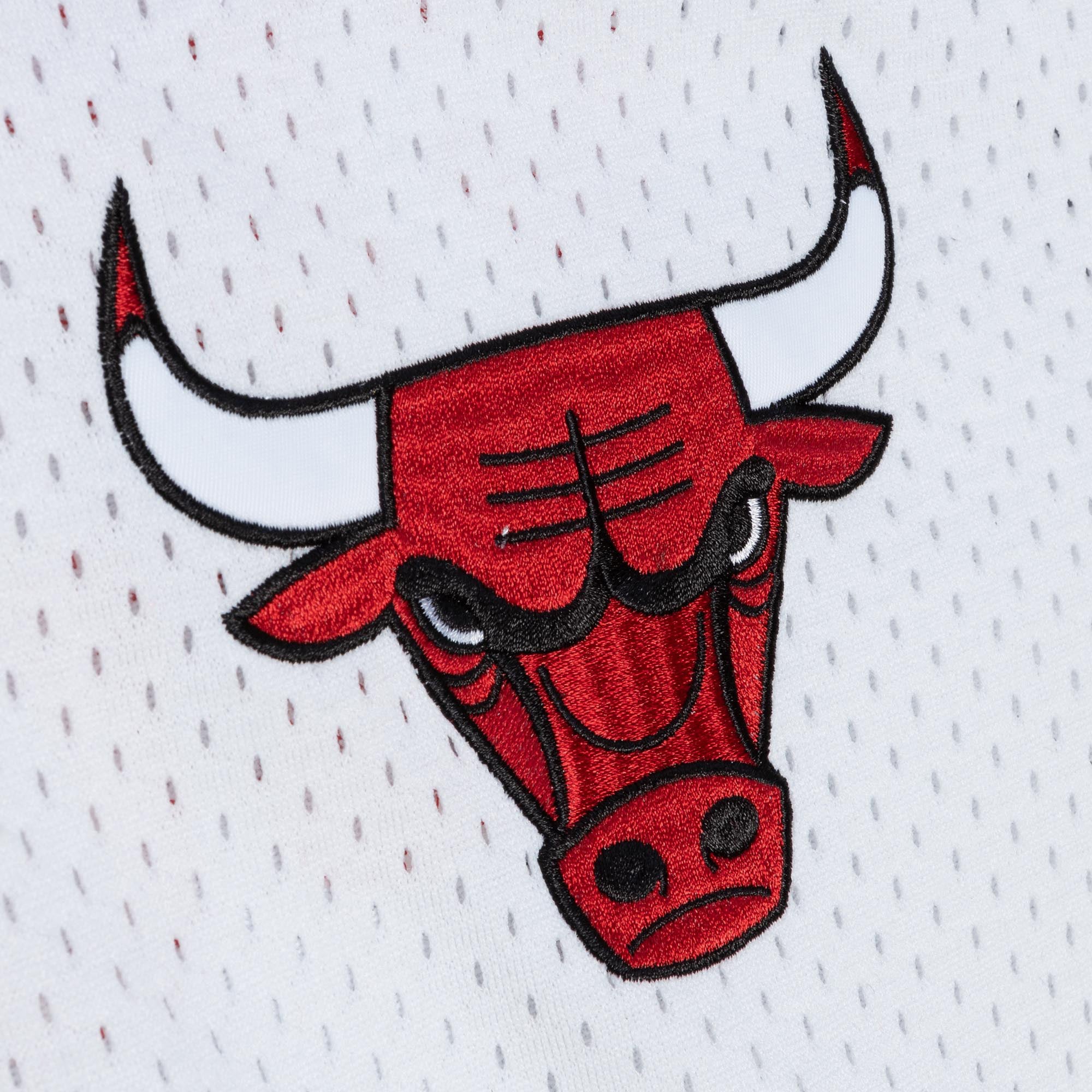Chicago Bulls Mitchell & Ness Fashion Mesh V-Neck - White - Mens, , rebel_hi-res