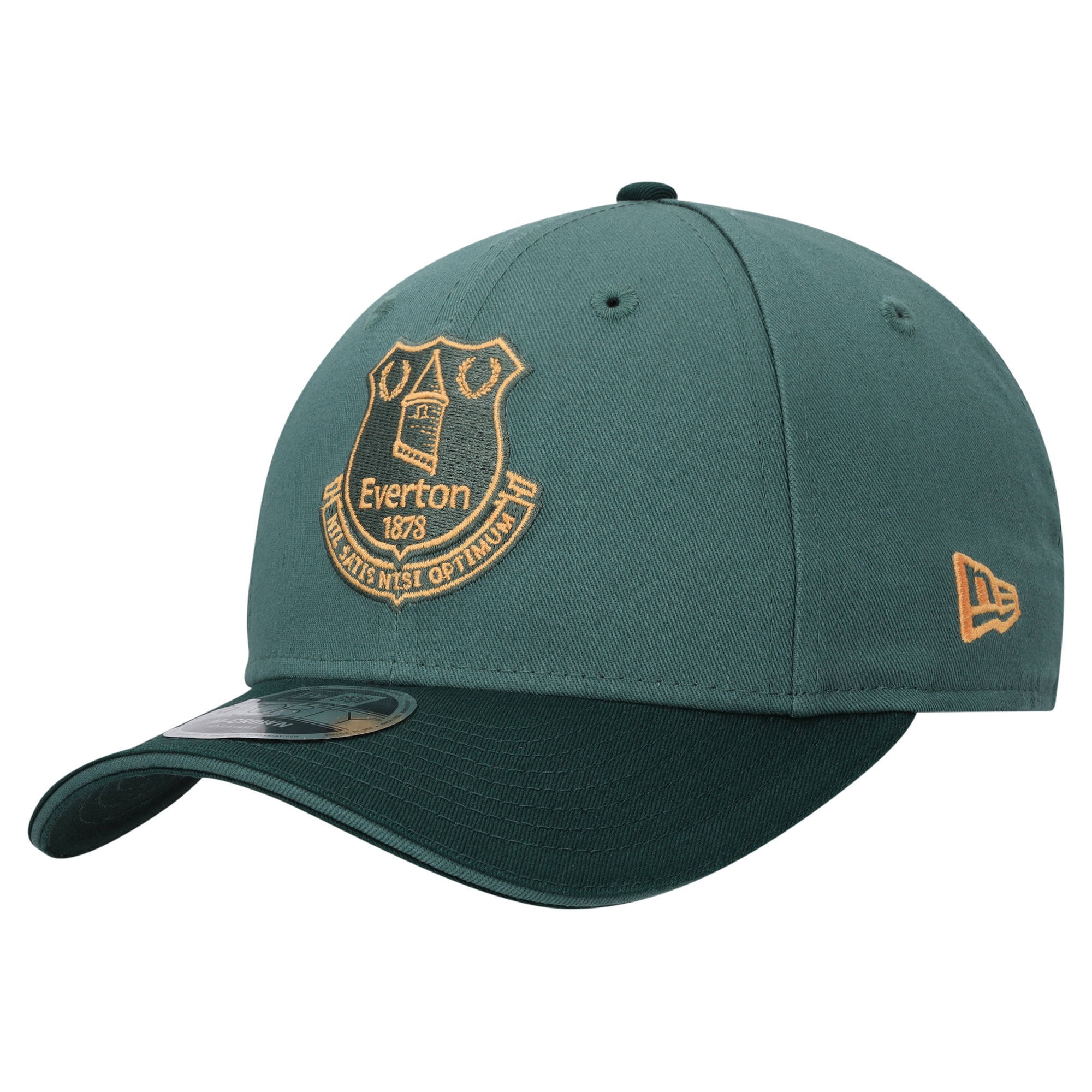 Everton New Era Third Kit 9FORTY - Green - Unisex, , rebel_hi-res