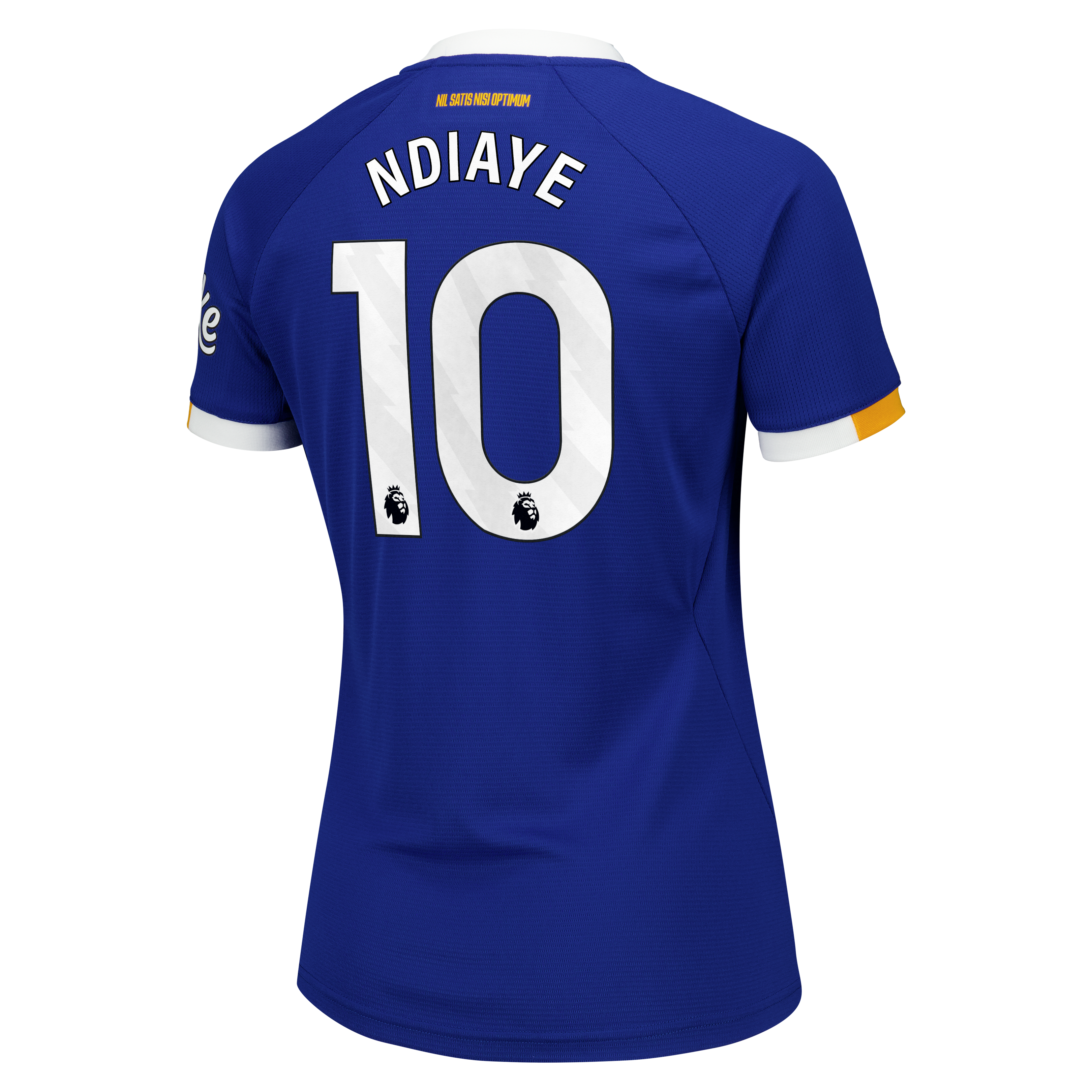 Everton Castore Home Replica Shirt 2026-27 - Womens with Ndiaye 10 printing, , rebel_hi-res
