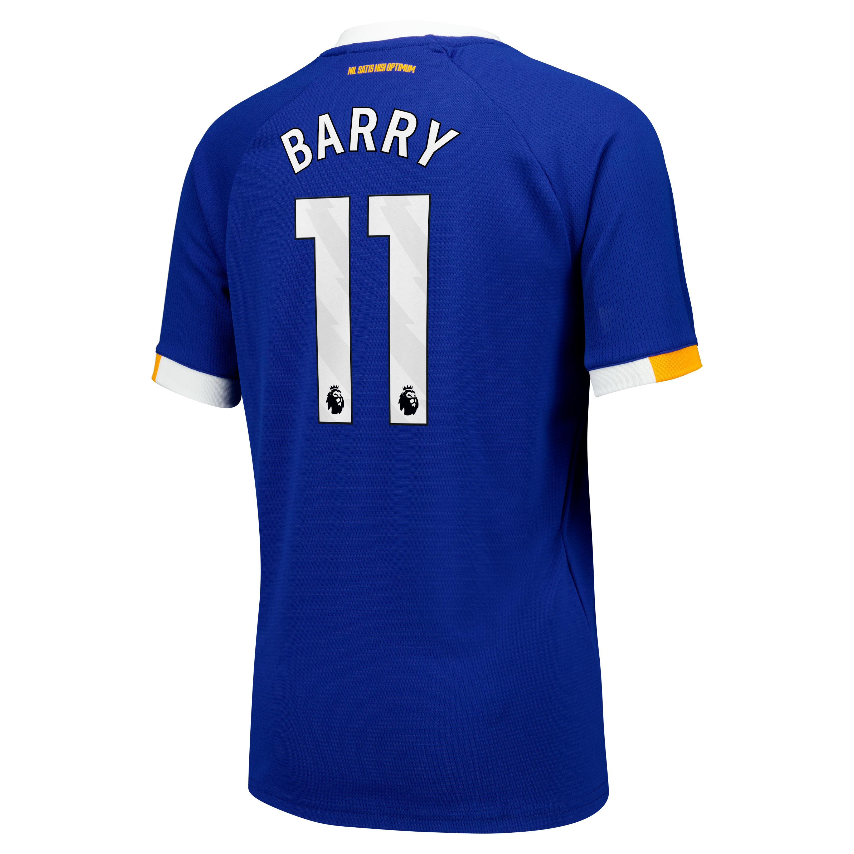Everton Castore Home Replica Shirt 2026-27 - Kids with Barry 11 printing, , rebel_hi-res