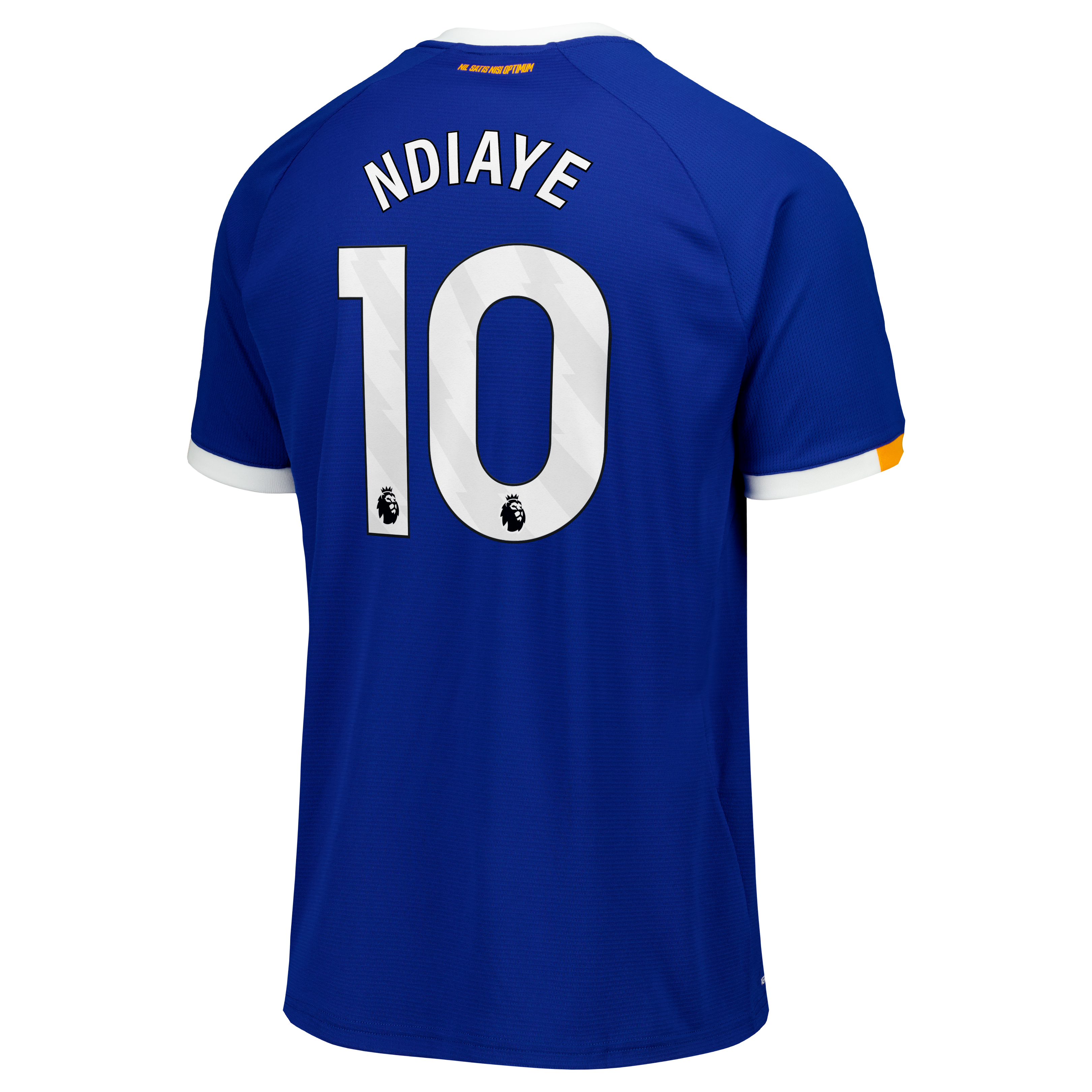 Everton Castore Home Replica Shirt 2026-27 with Ndiaye 10 printing, , rebel_hi-res
