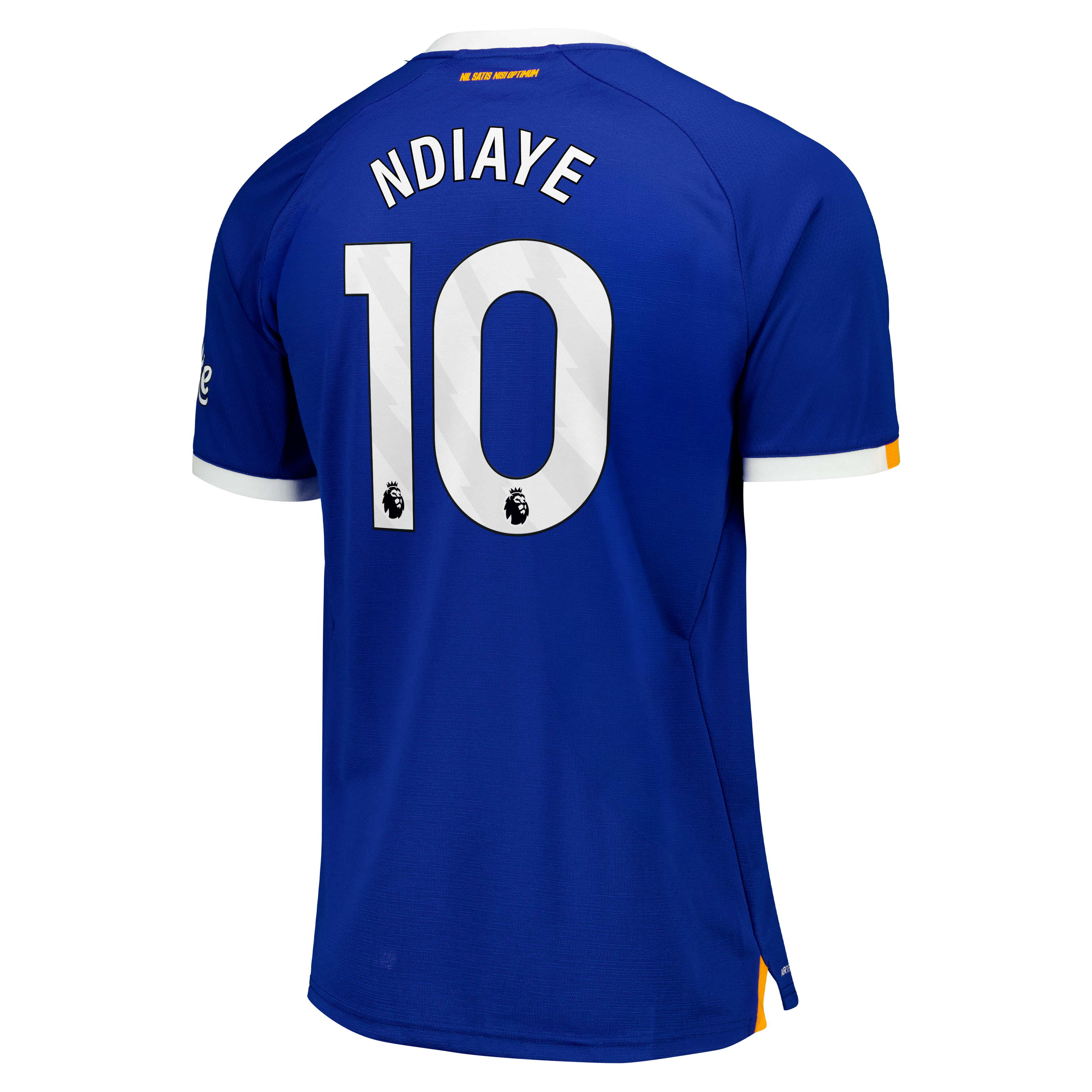 Everton Castore Home Pro Shirt 2026-27 with Ndiaye 10 printing, , rebel_hi-res