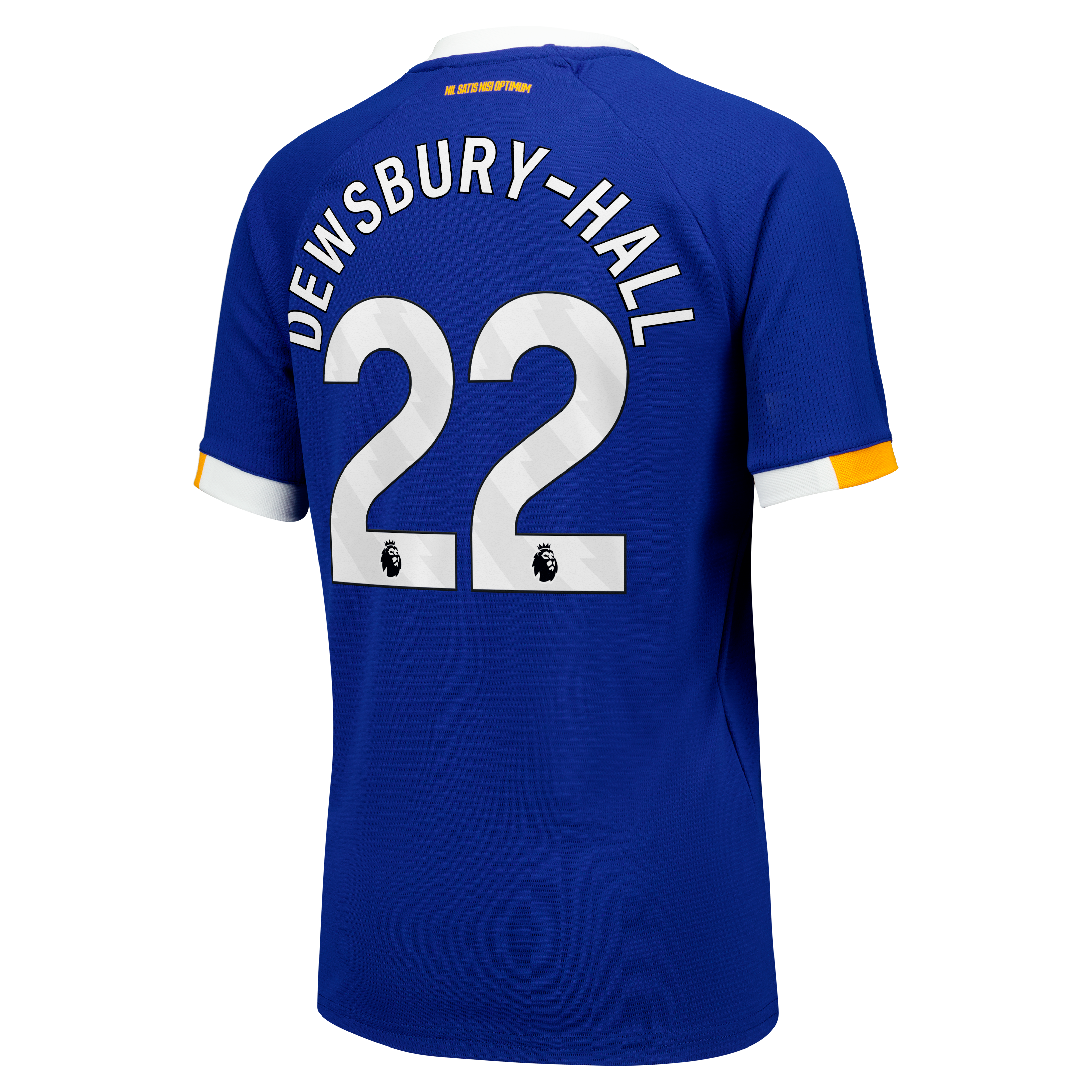 Everton Castore Home Replica Shirt 2026-27 - Kids with Dewsbury-Hall 22 printing, , rebel_hi-res