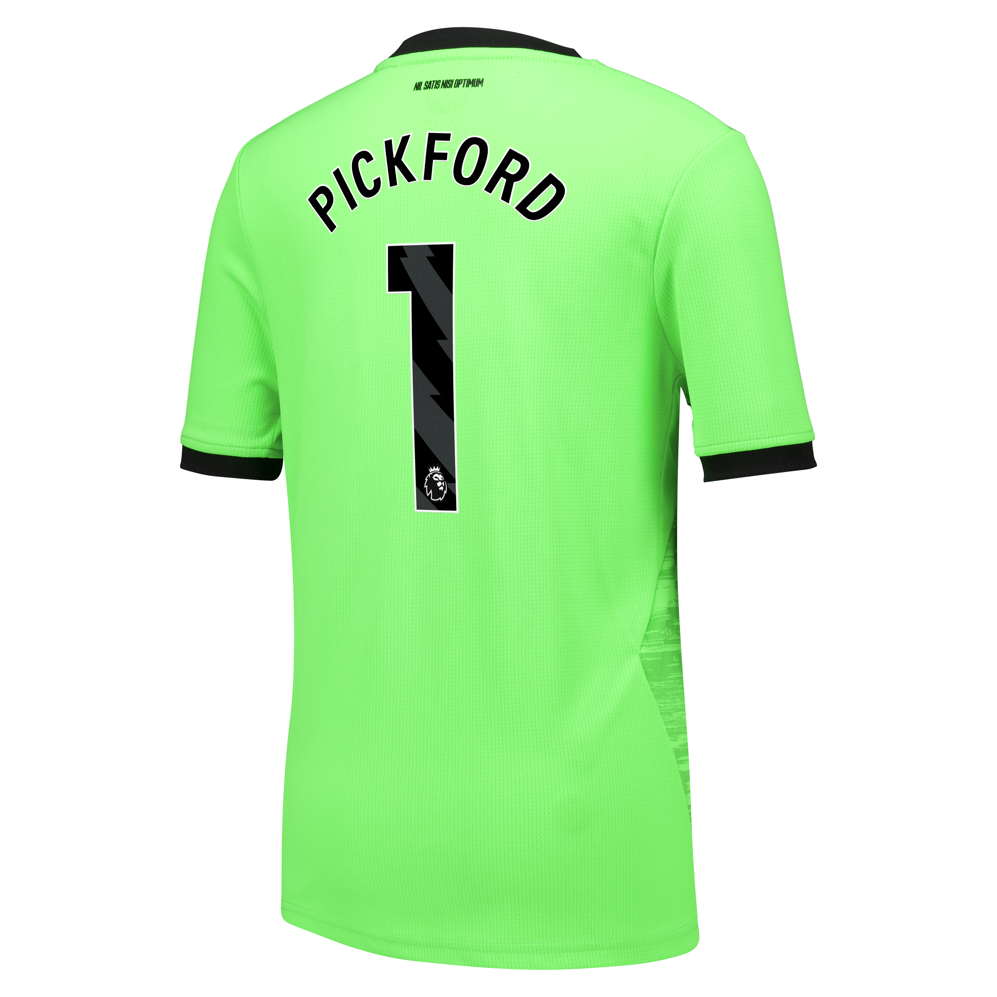 Everton Castore Home Goalkeeper Shirt 2026-27 - Kids with Pickford 1 printing, , rebel_hi-res