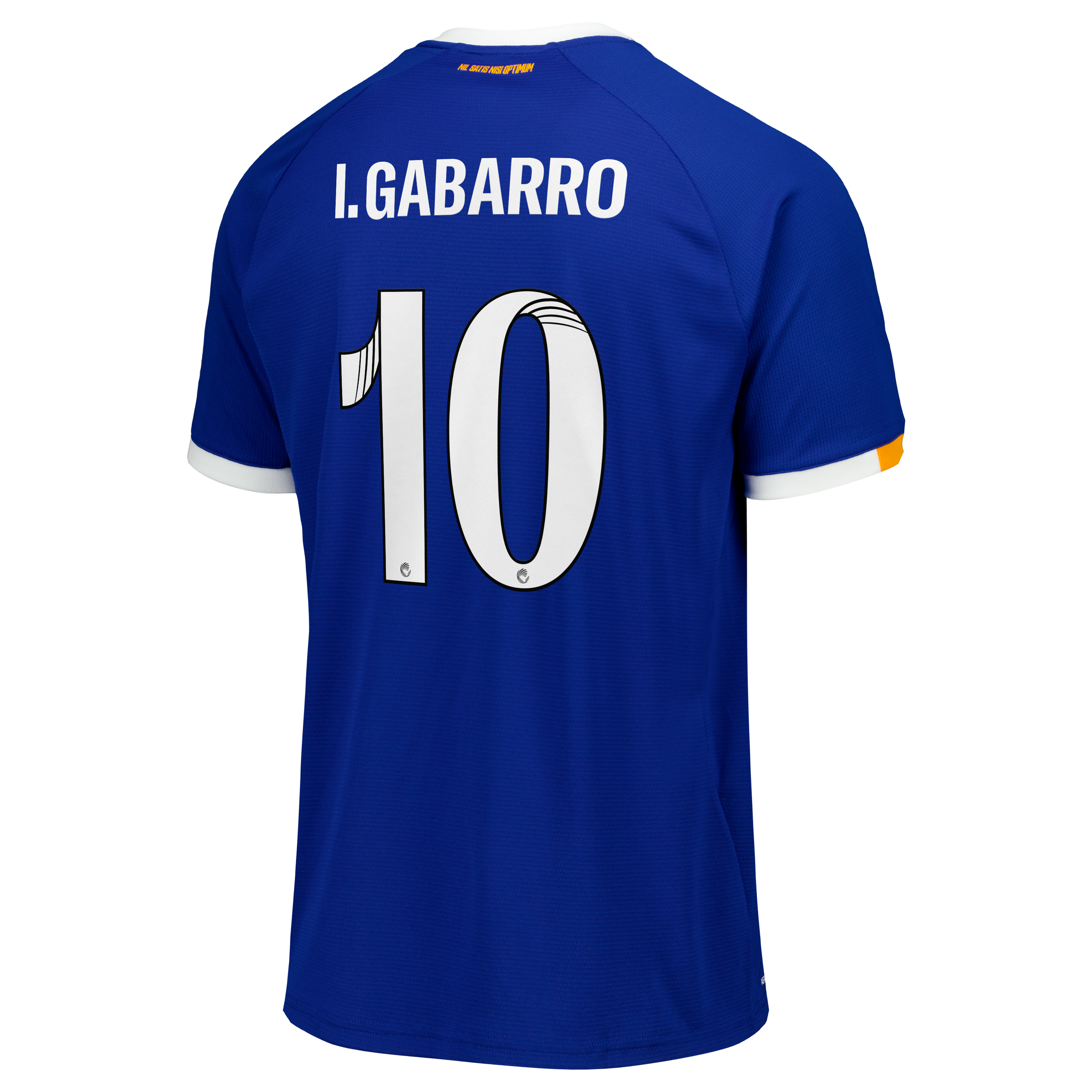 Everton WSL Castore Home Replica Shirt 2026-27 with I. Gabarro 10 printing, , rebel_hi-res