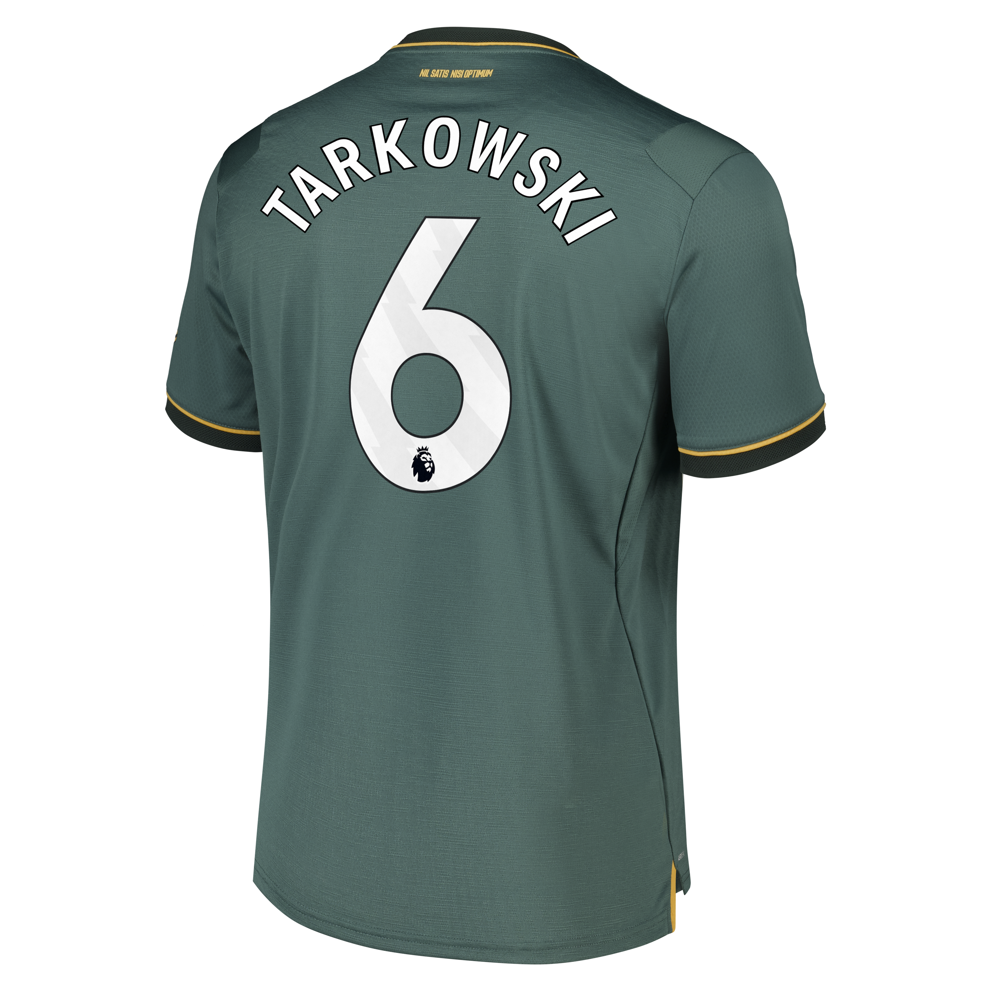 Everton Castore Third Pro Shirt 2026-27 with Tarkowski 6 printing, , rebel_hi-res
