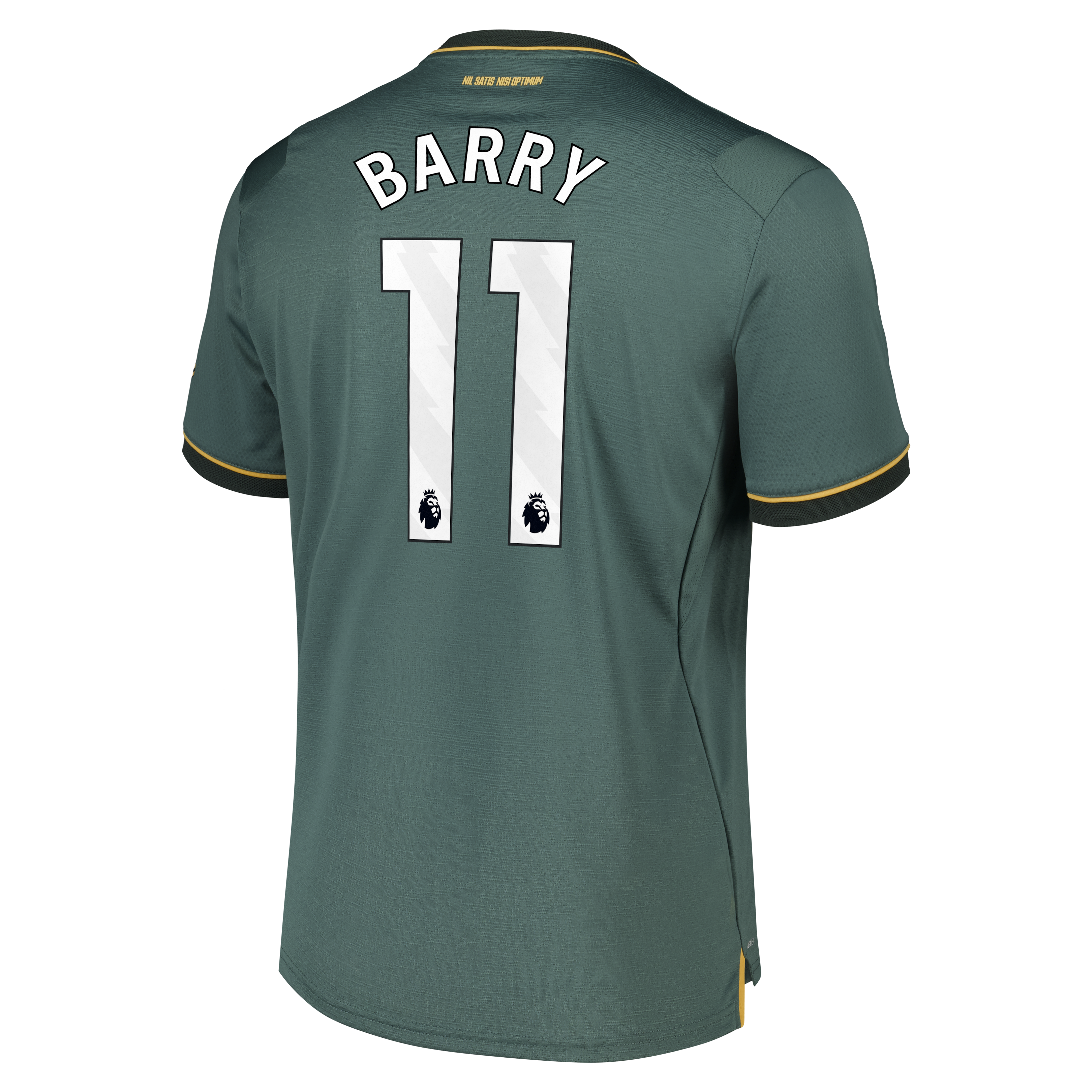 Everton Castore Third Pro Shirt 2026-27 with Barry 11 printing, , rebel_hi-res