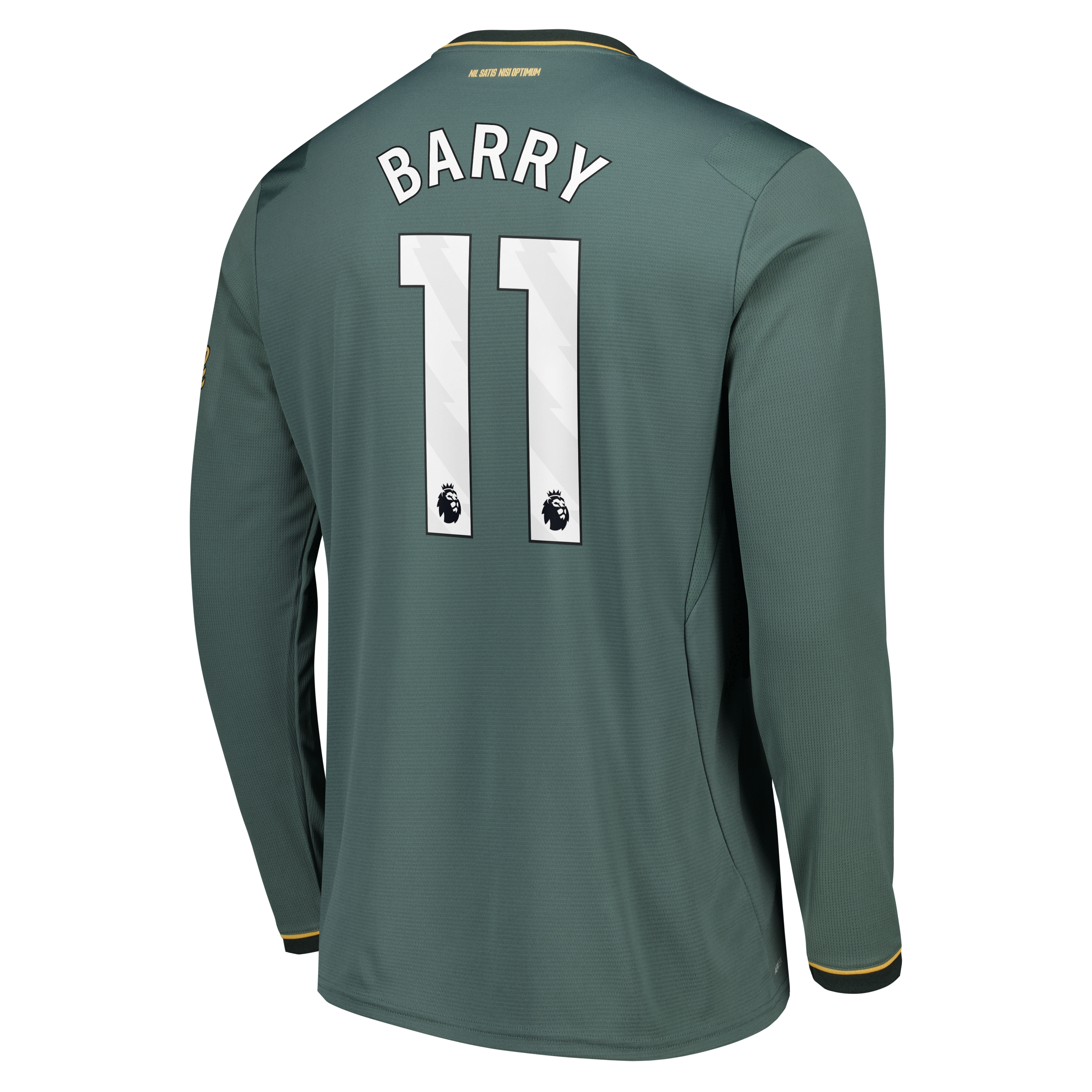 Everton Castore Third Replica Shirt 2026-27 - Long Sleeve with Barry 11 printing, , rebel_hi-res