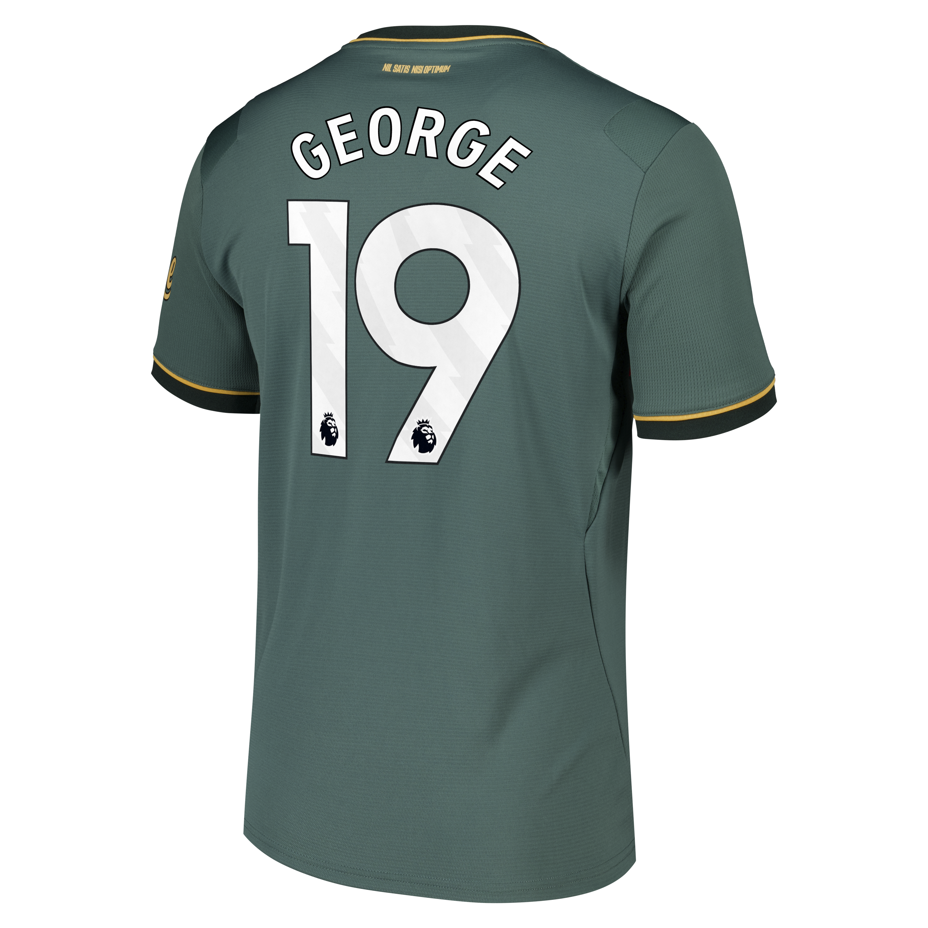 Everton Castore Third Replica Shirt 2026-27 with George 19 printing, , rebel_hi-res