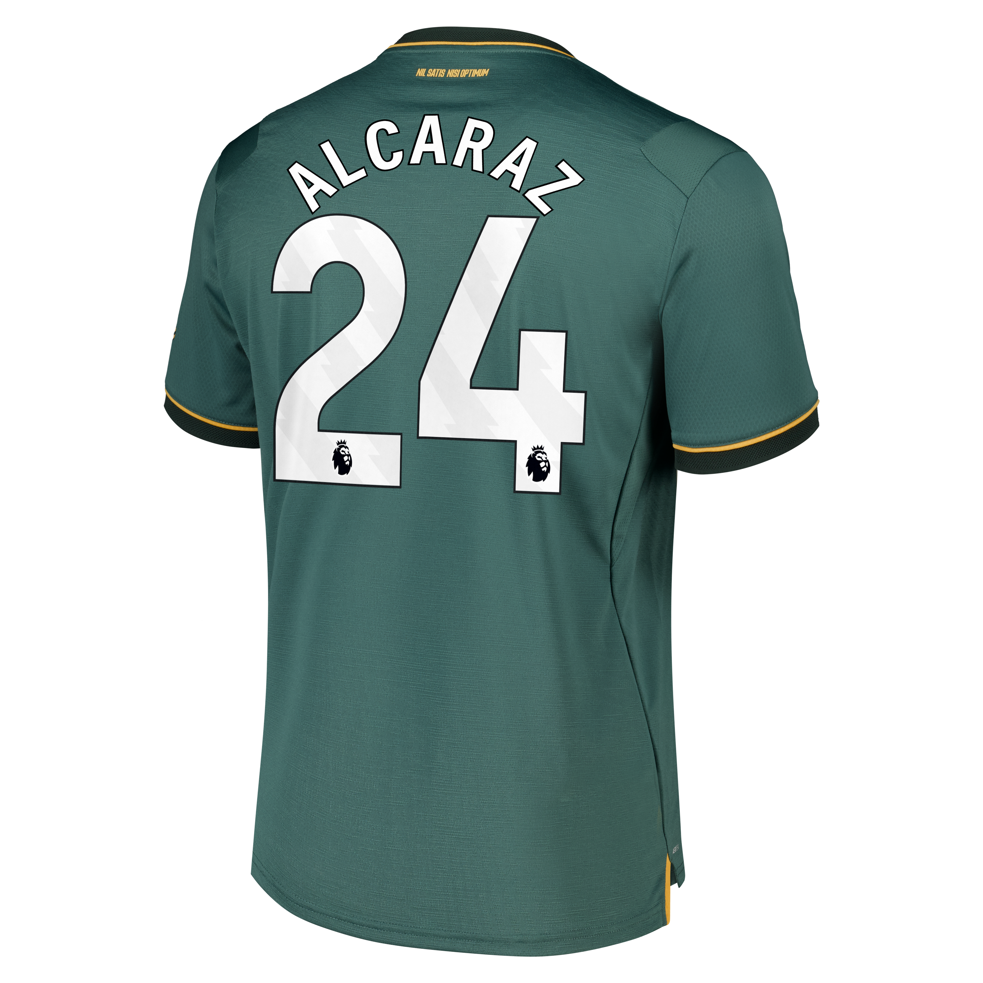Everton Castore Third Pro Shirt 2026-27 with Alcaraz 24 printing, , rebel_hi-res