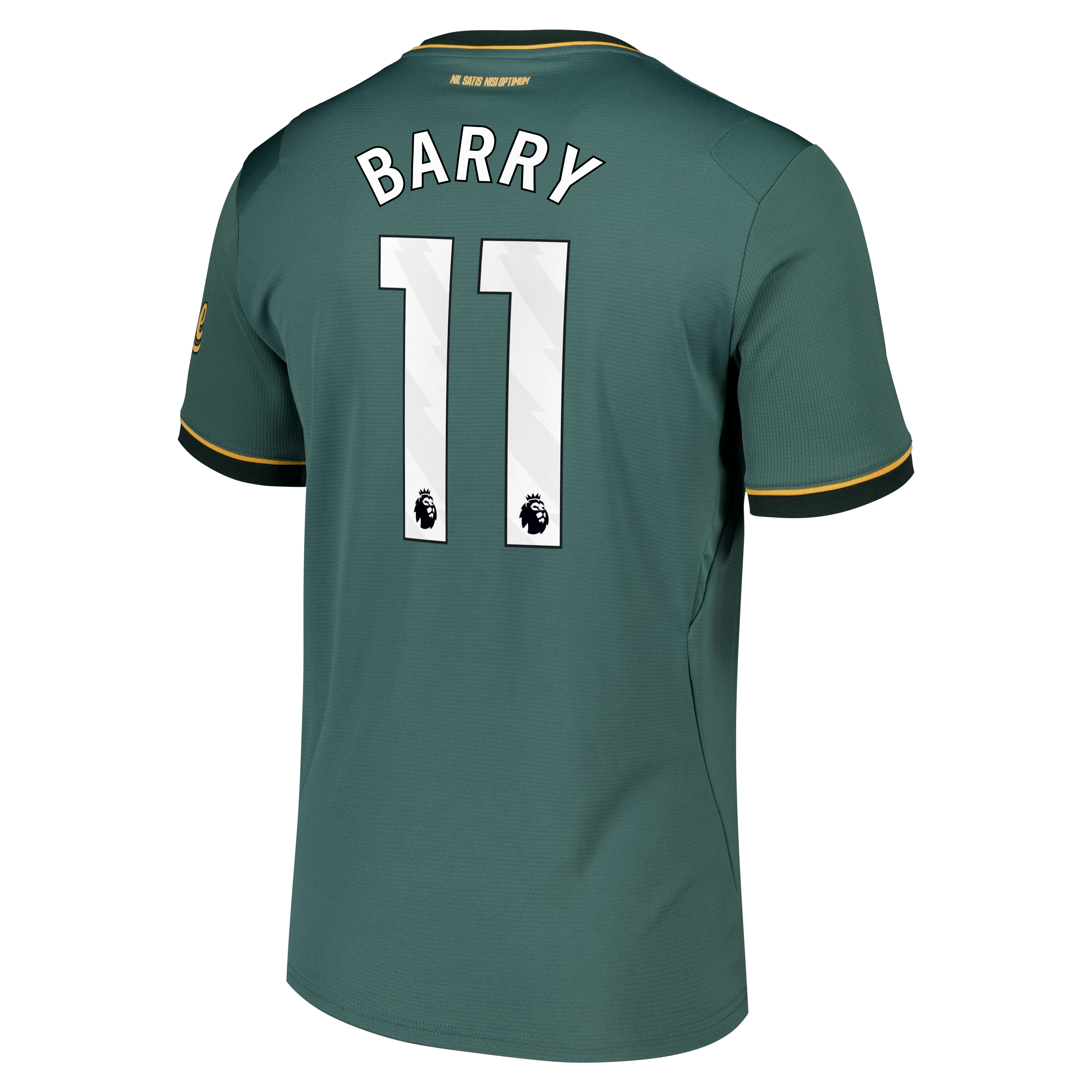 Everton Castore Third Replica Shirt 2026-27 with Barry 11 printing, , rebel_hi-res