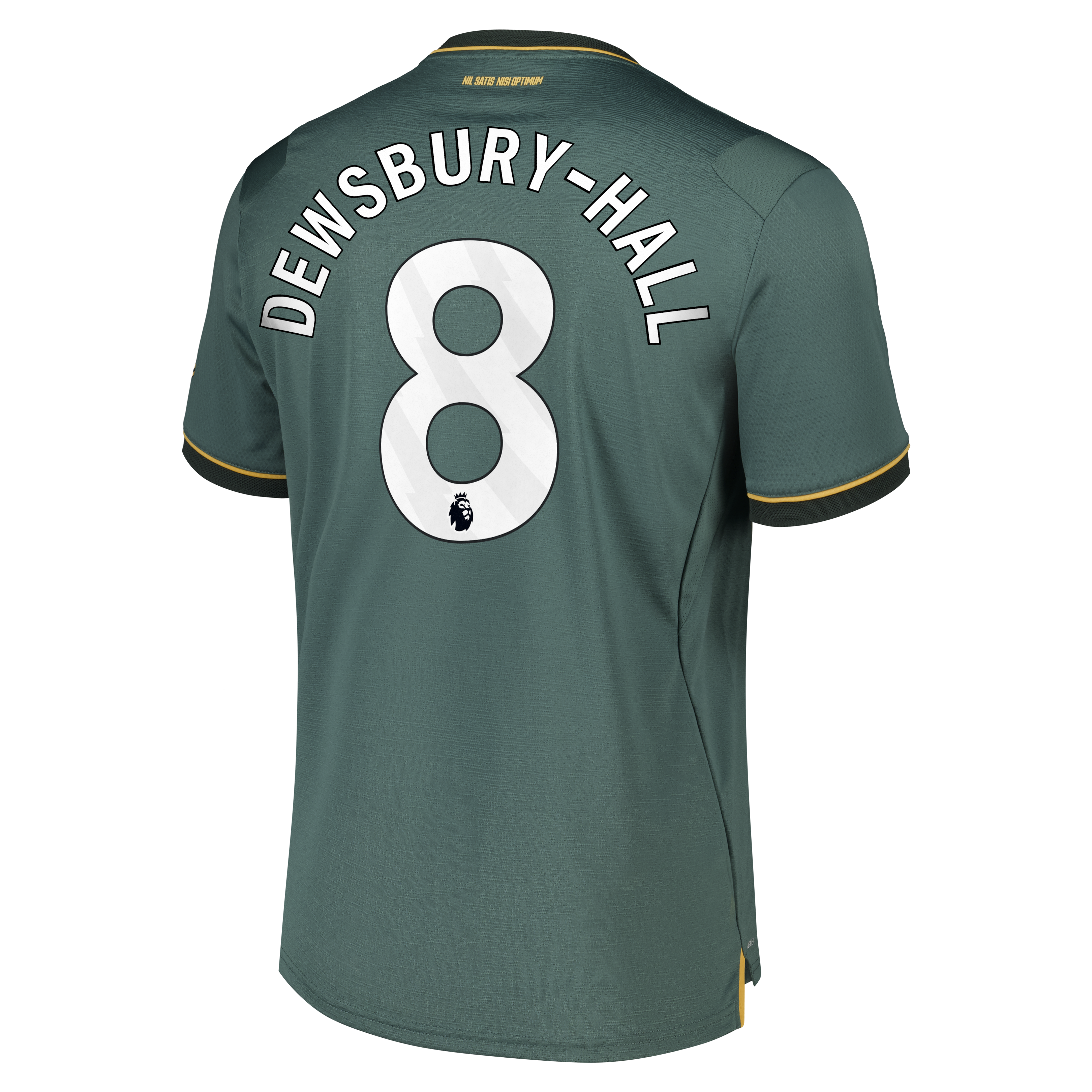 Everton Castore Third Pro Shirt 2026-27 with Dewsbury-Hall 22 printing, , rebel_hi-res