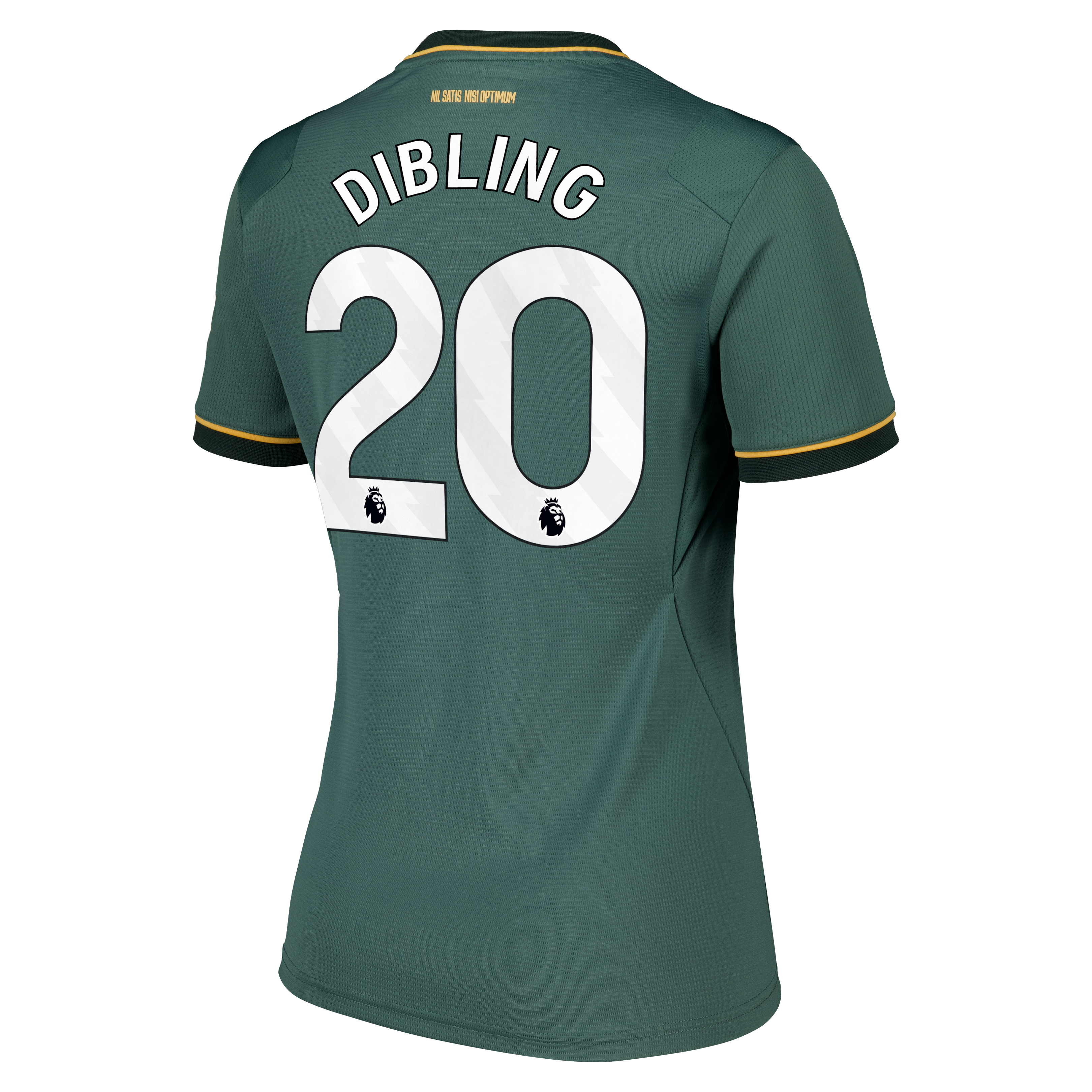 Everton Castore Third Replica Shirt 2026-27 - Womens with Dibling 20 printing, , rebel_hi-res