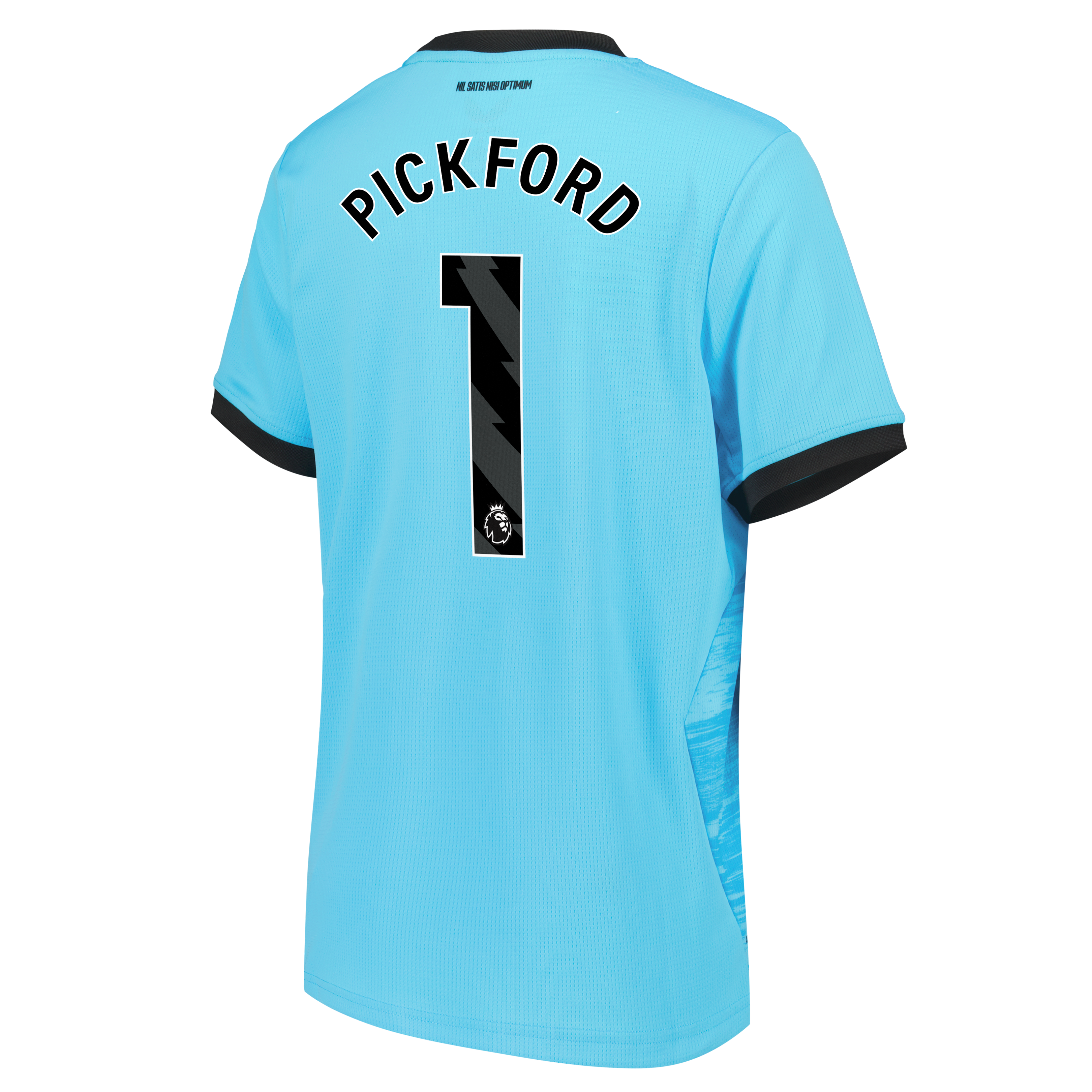Everton Castore Third Goalkeeper Shirt 2026-27 - Kids with Pickford 1 printing, , rebel_hi-res