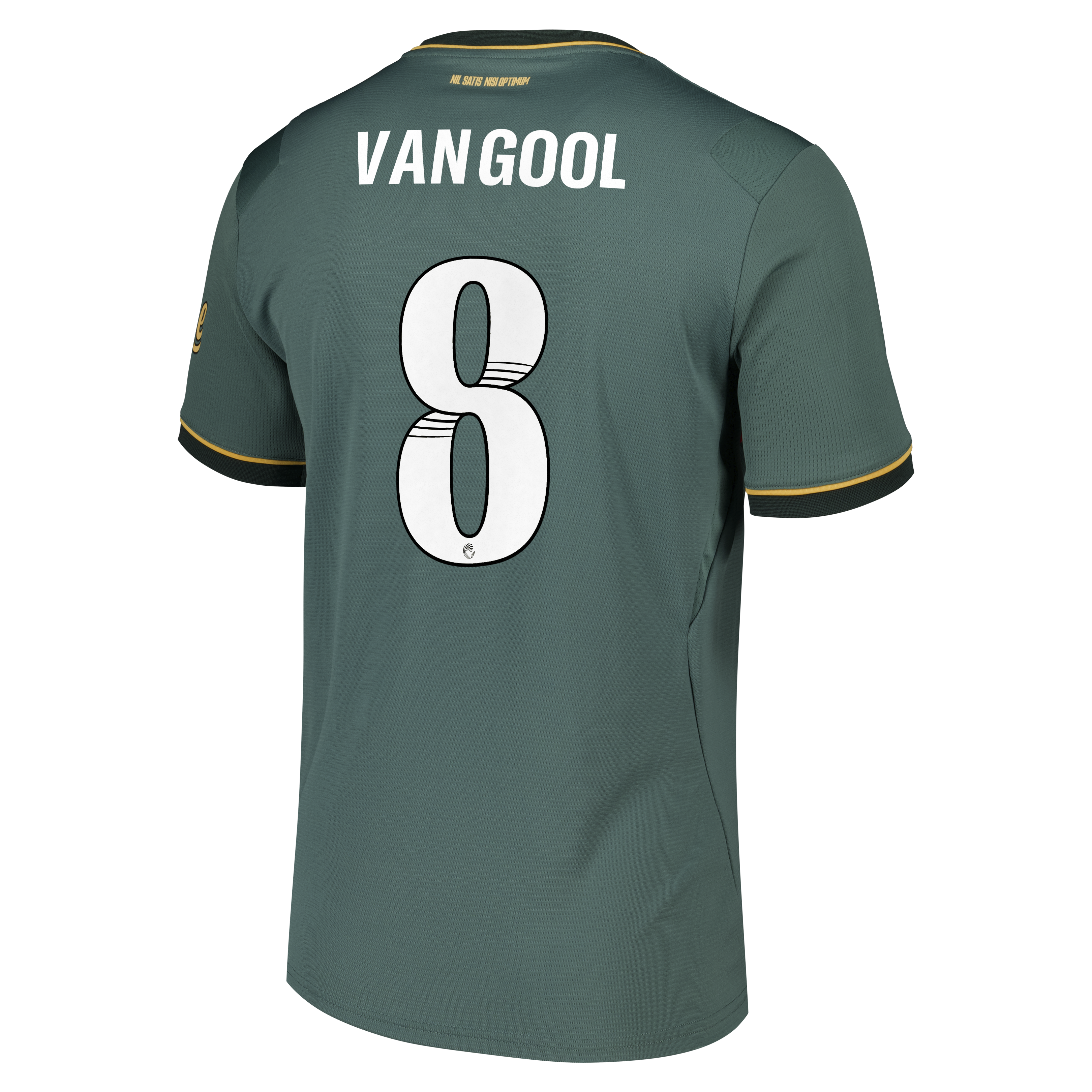Everton WSL Castore Third Replica Shirt 2026-27 with Van Gool 8 printing, , rebel_hi-res