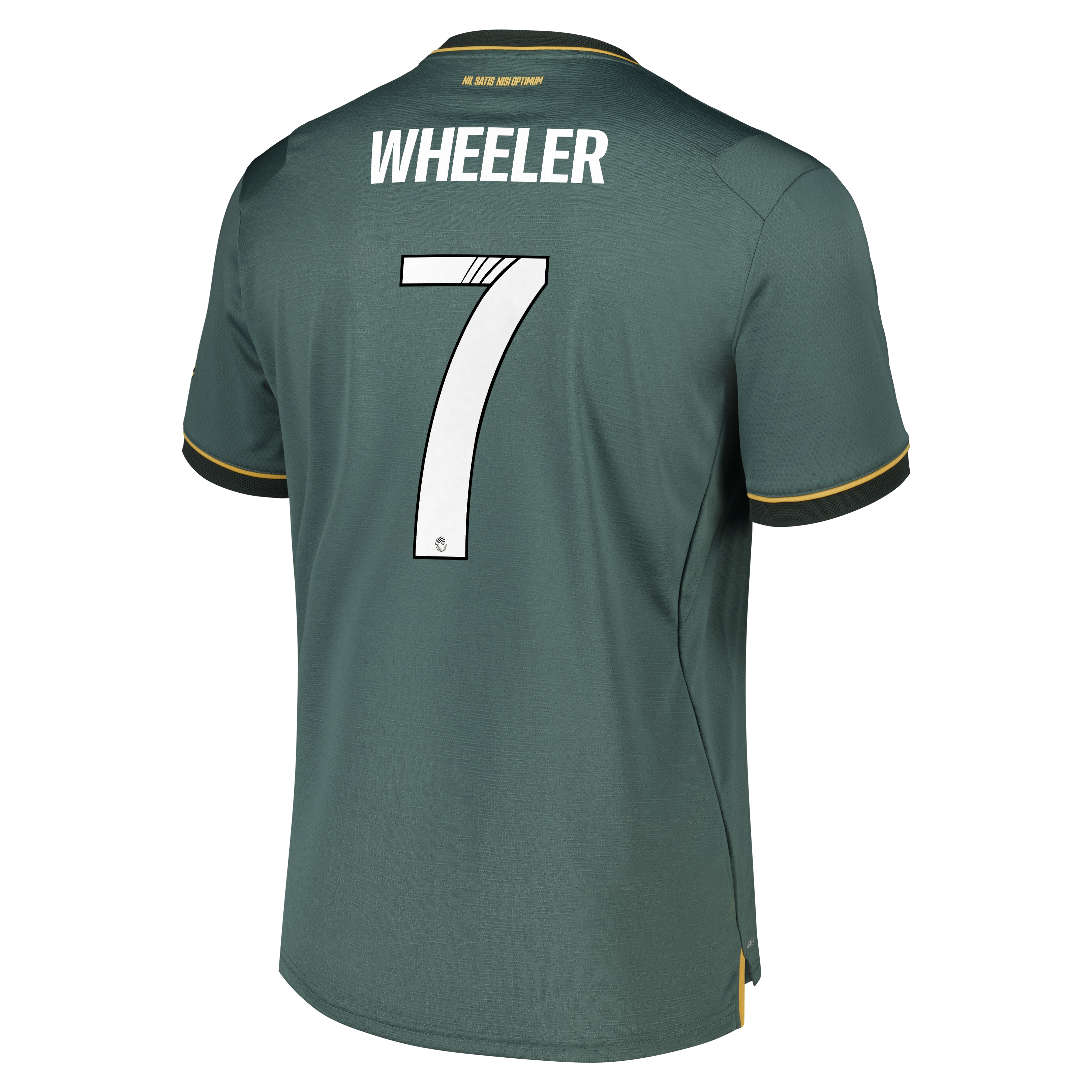 Everton WSL Castore Third Pro Shirt 2026-27 with Wheeler 7 printing, , rebel_hi-res