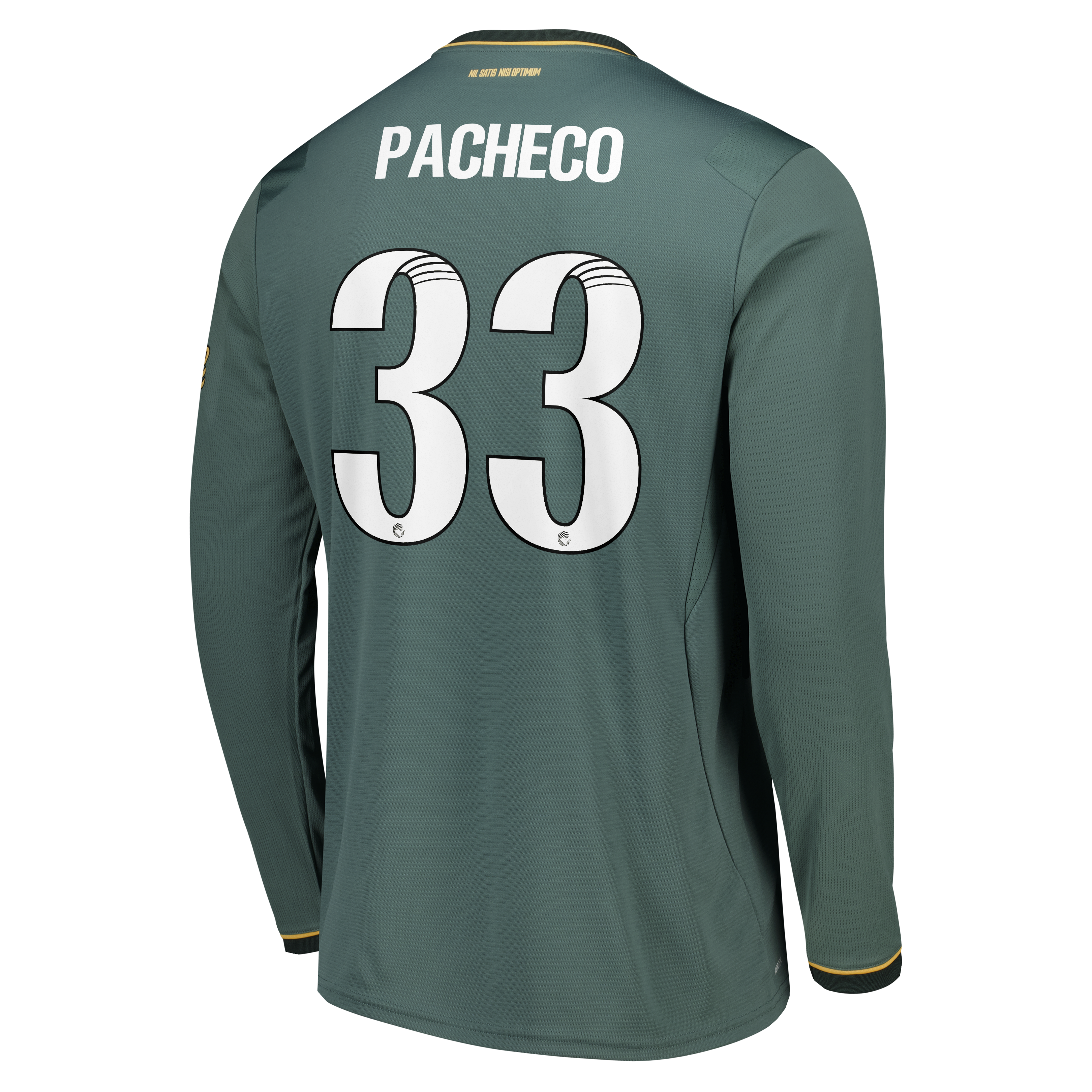Everton WSL Castore Third Replica Shirt 2026-27 - Long Sleeve with Pacheco 33 printing, , rebel_hi-res