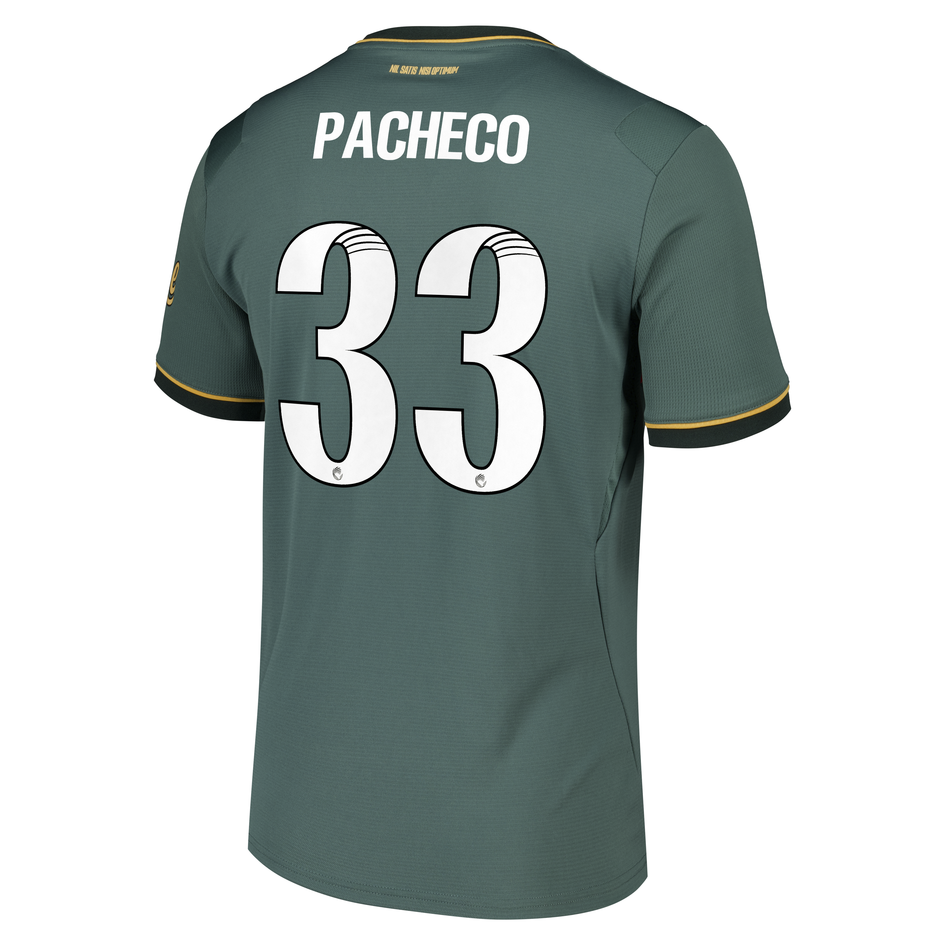 Everton WSL Castore Third Replica Shirt 2026-27 with Pacheco 33 printing, , rebel_hi-res