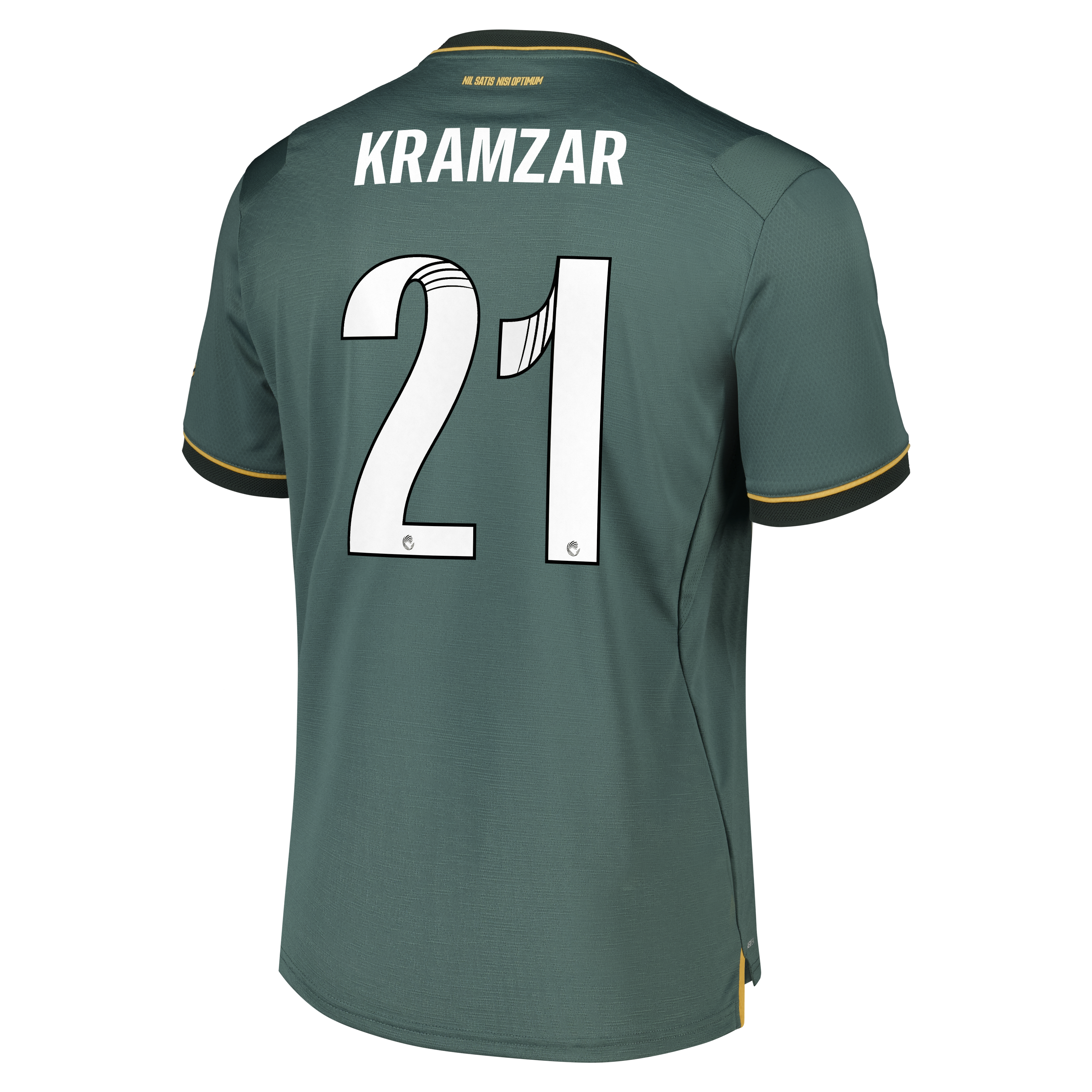 Everton WSL Castore Third Pro Shirt 2026-27 with Kramzar 21 printing, , rebel_hi-res