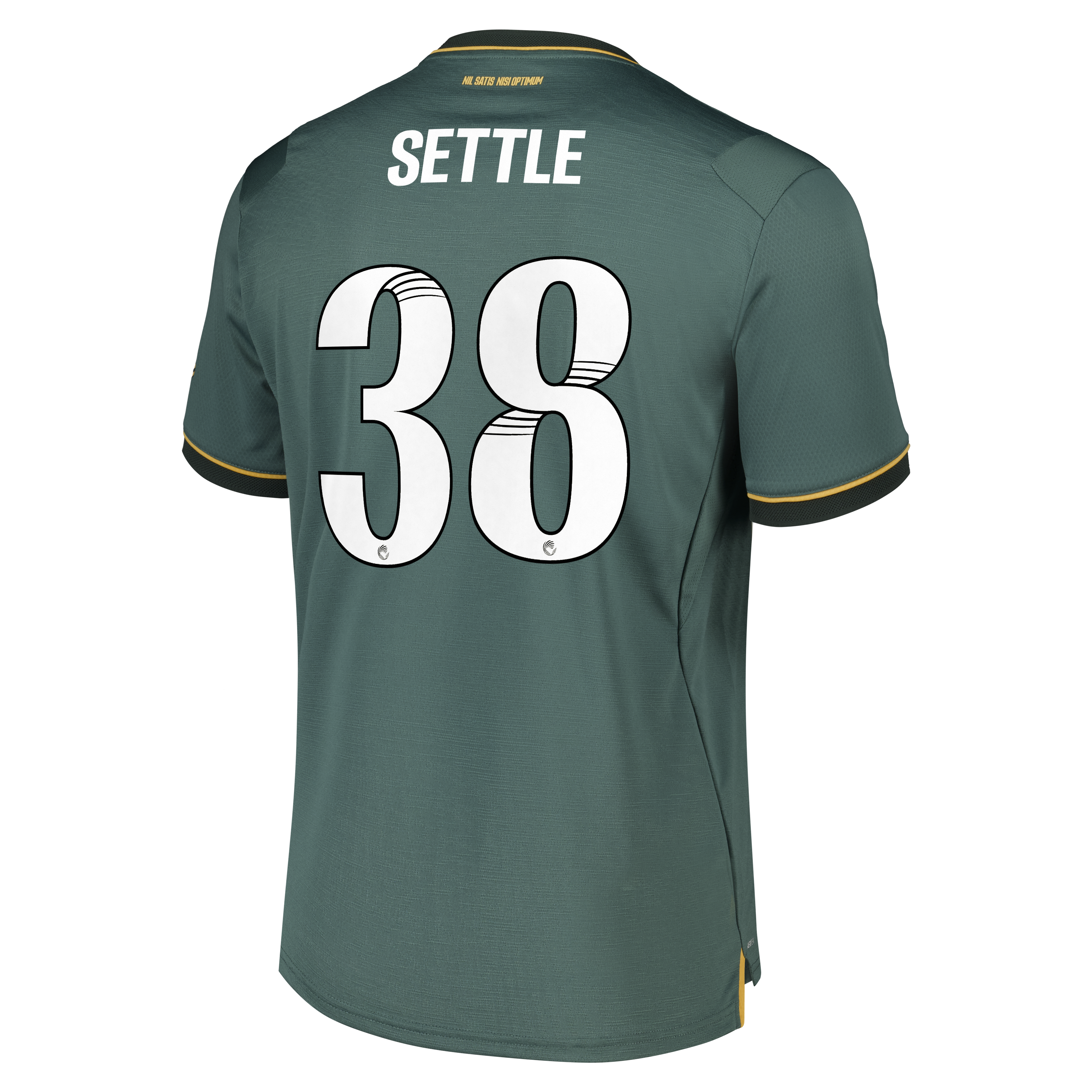 Everton WSL Castore Third Pro Shirt 2026-27 with Settle 38 printing, , rebel_hi-res